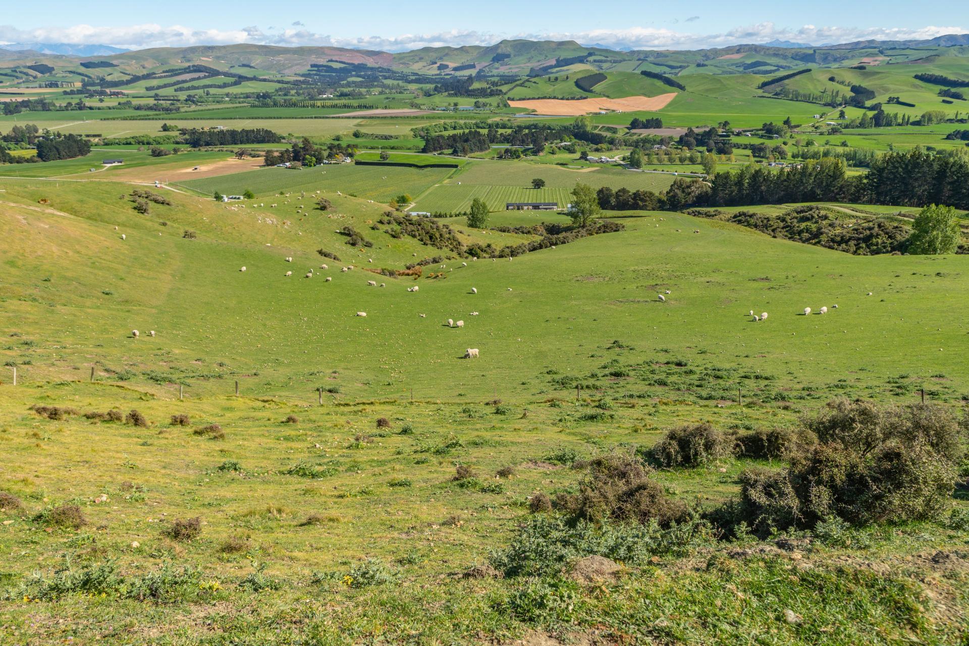 614 Omihi Road, Omihi