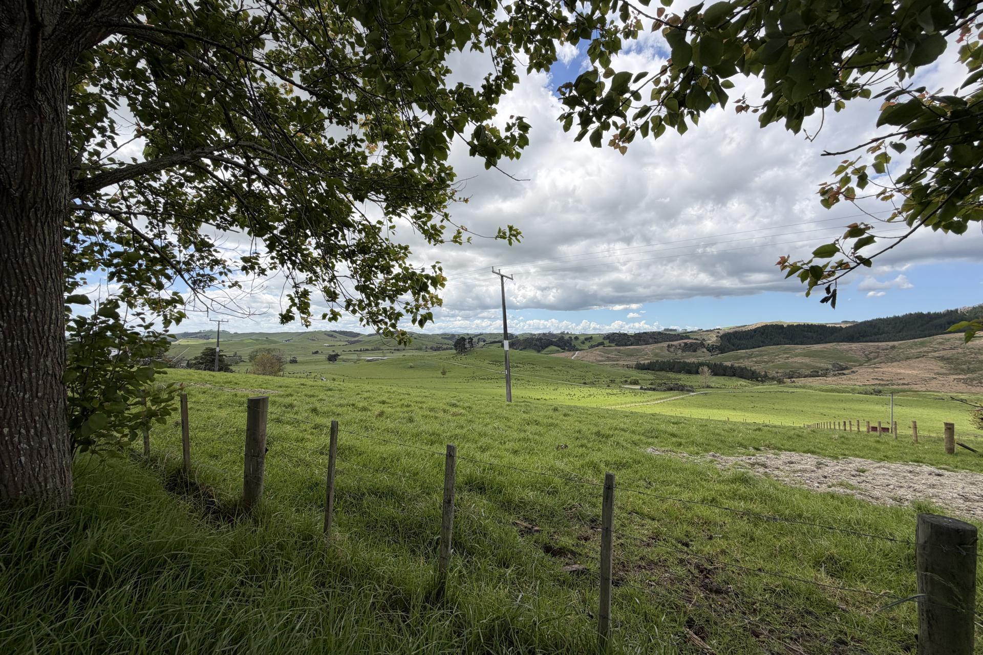 Lot 6 Greenhill Road, Ruawai