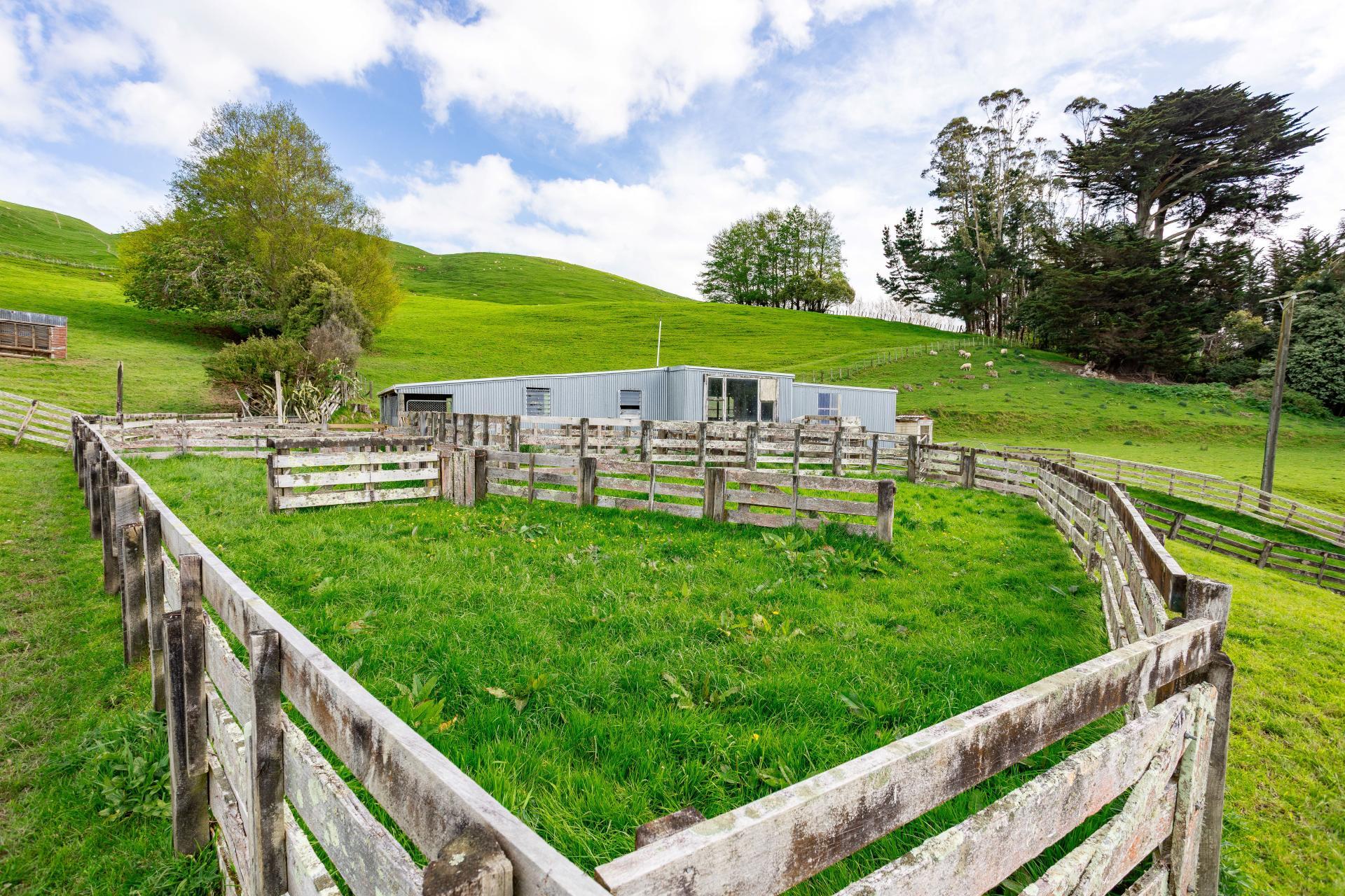 38 Titoki Road, Pahiatua