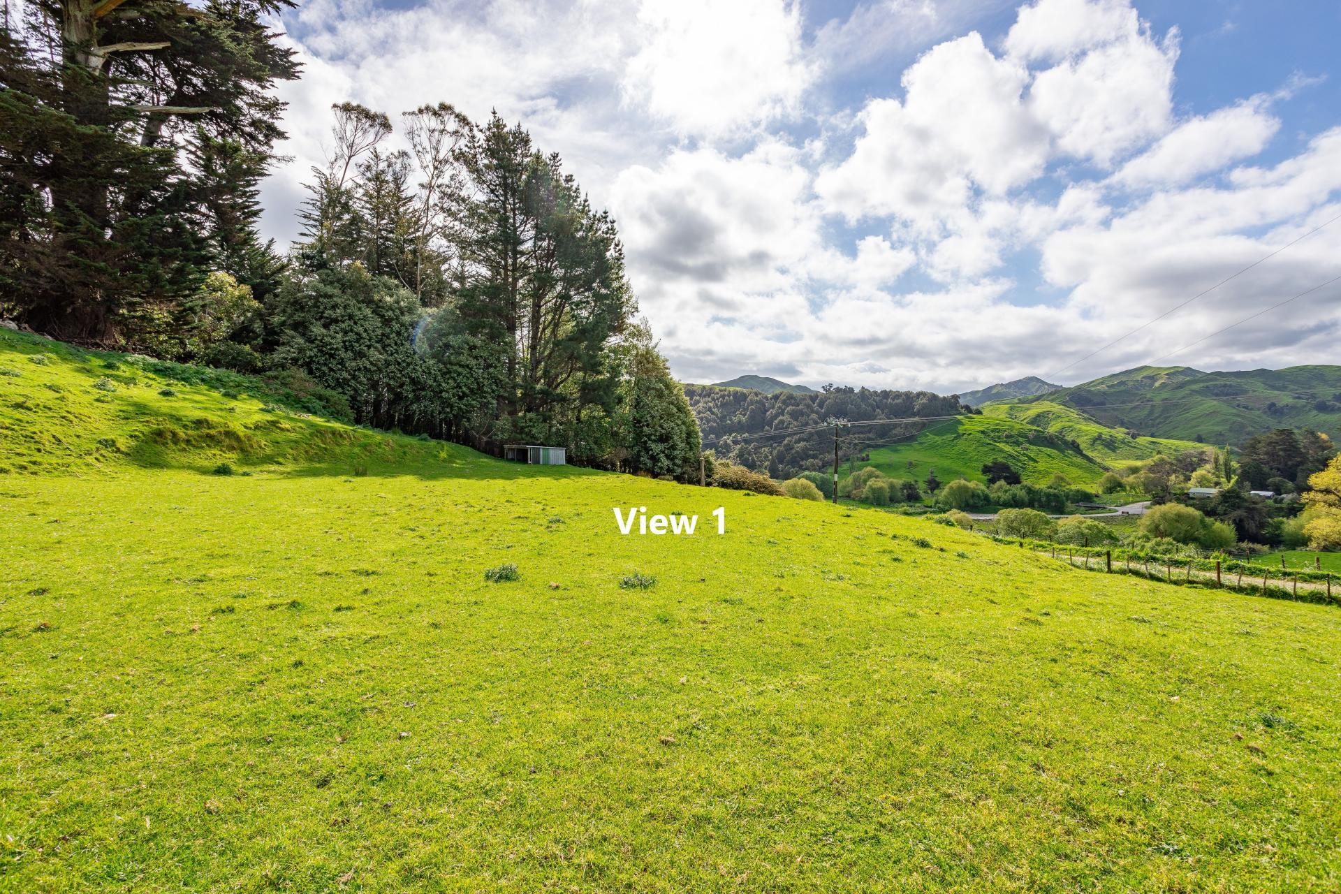 38 Titoki Road, Pahiatua