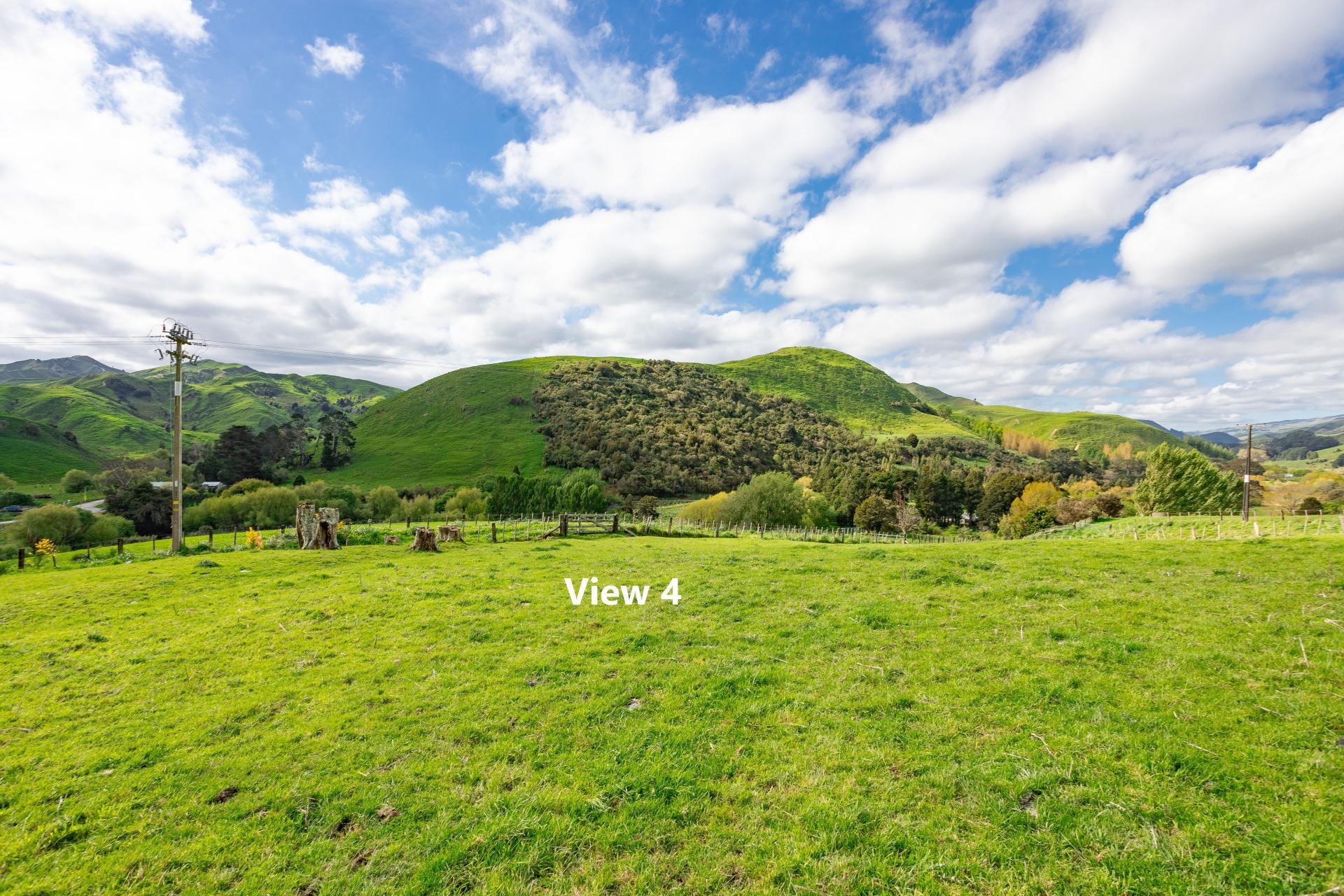 38 Titoki Road, Pahiatua