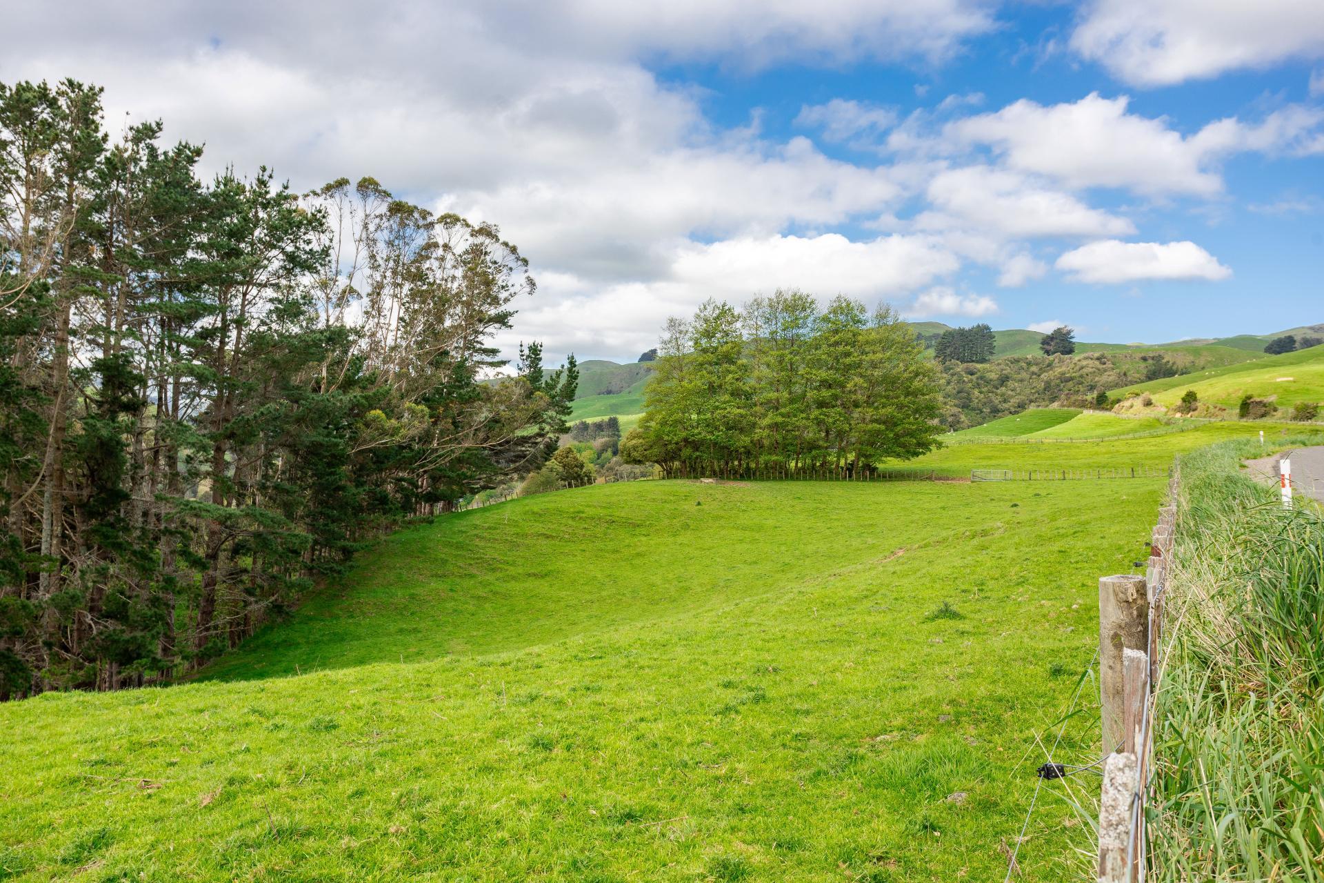 38 Titoki Road, Pahiatua