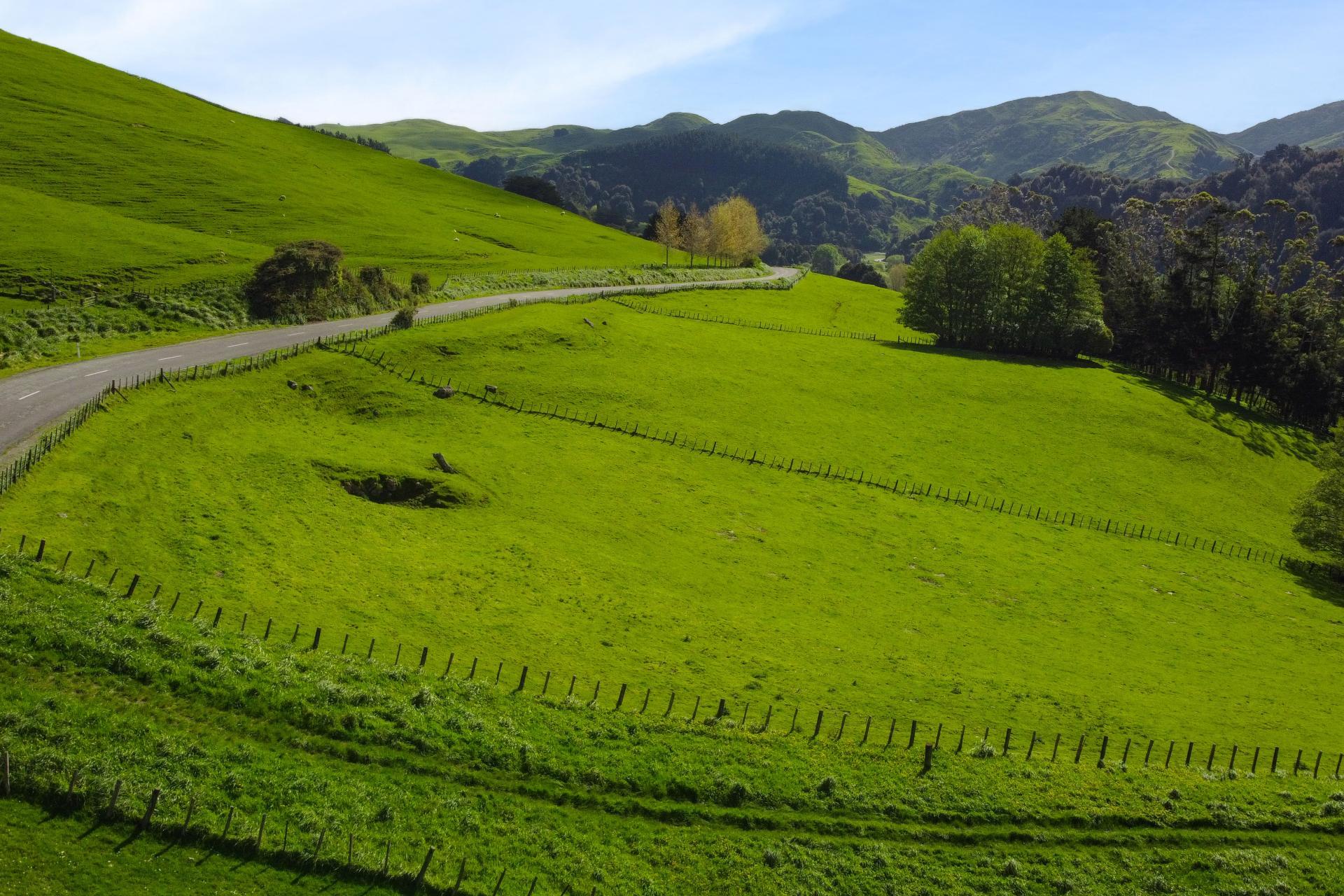 38 Titoki Road, Pahiatua