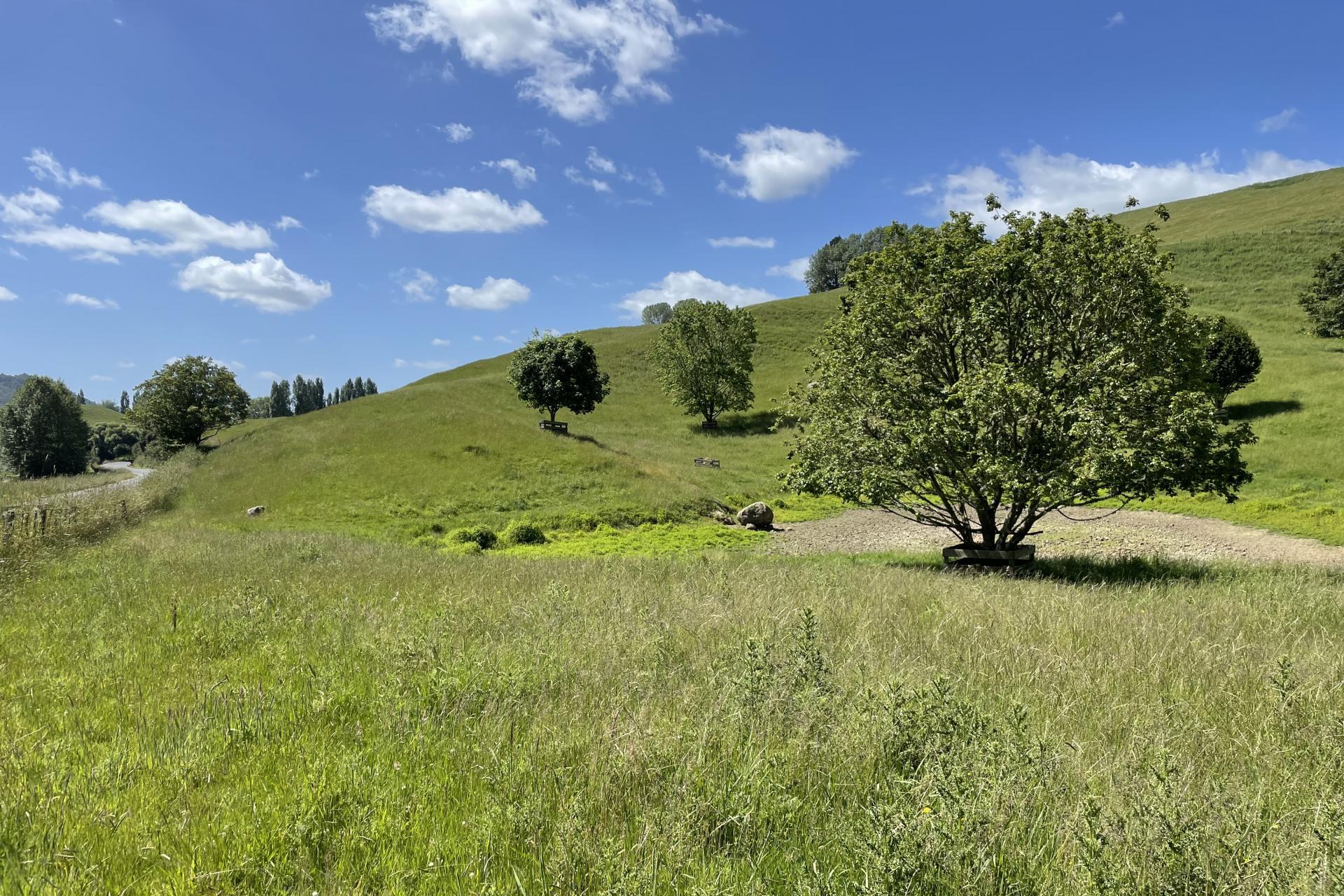 461 State Highway 30, Te Kuiti