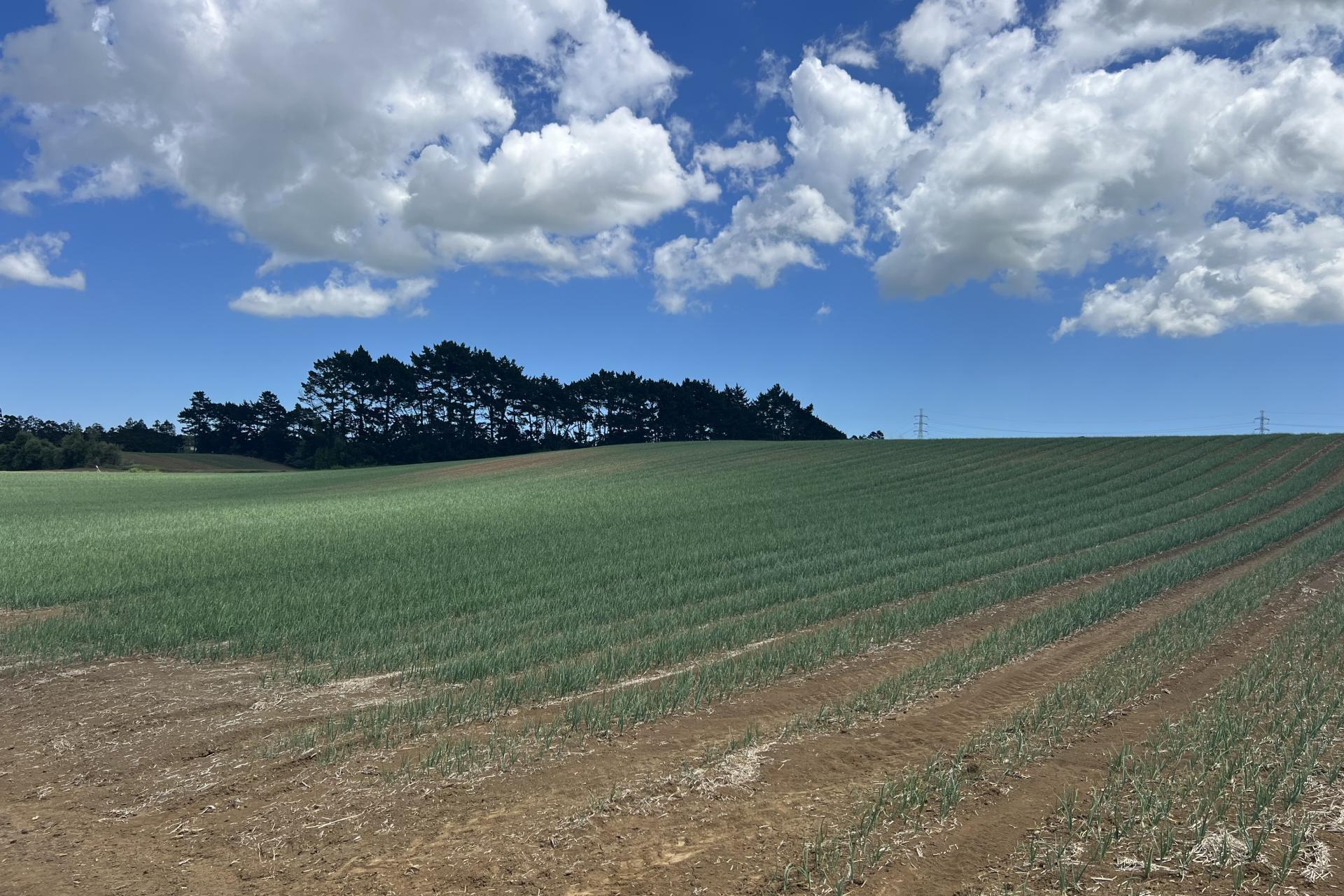 76 Brookside Road, Glenbrook