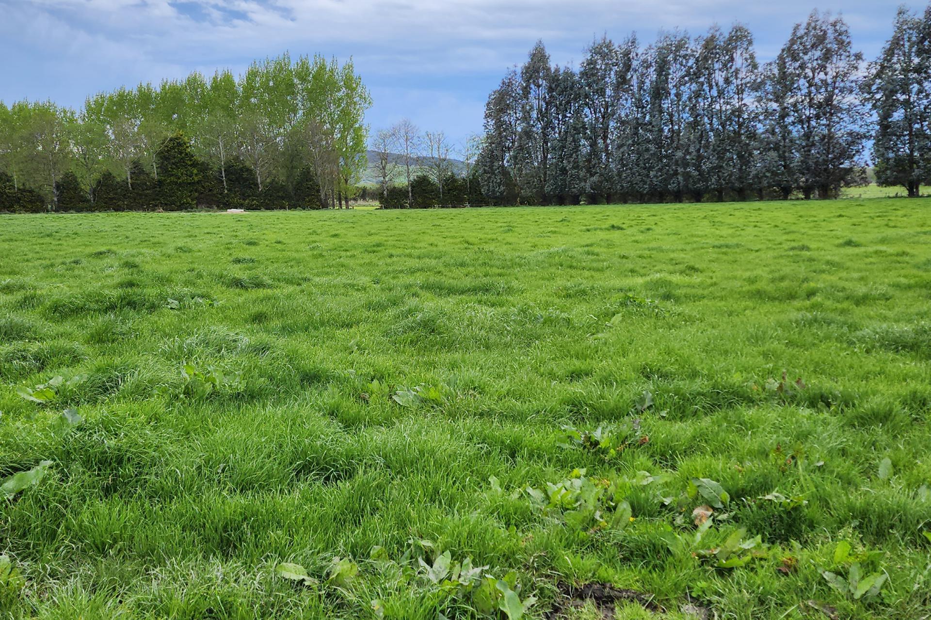 119 The Crescent Road, Kaitangata