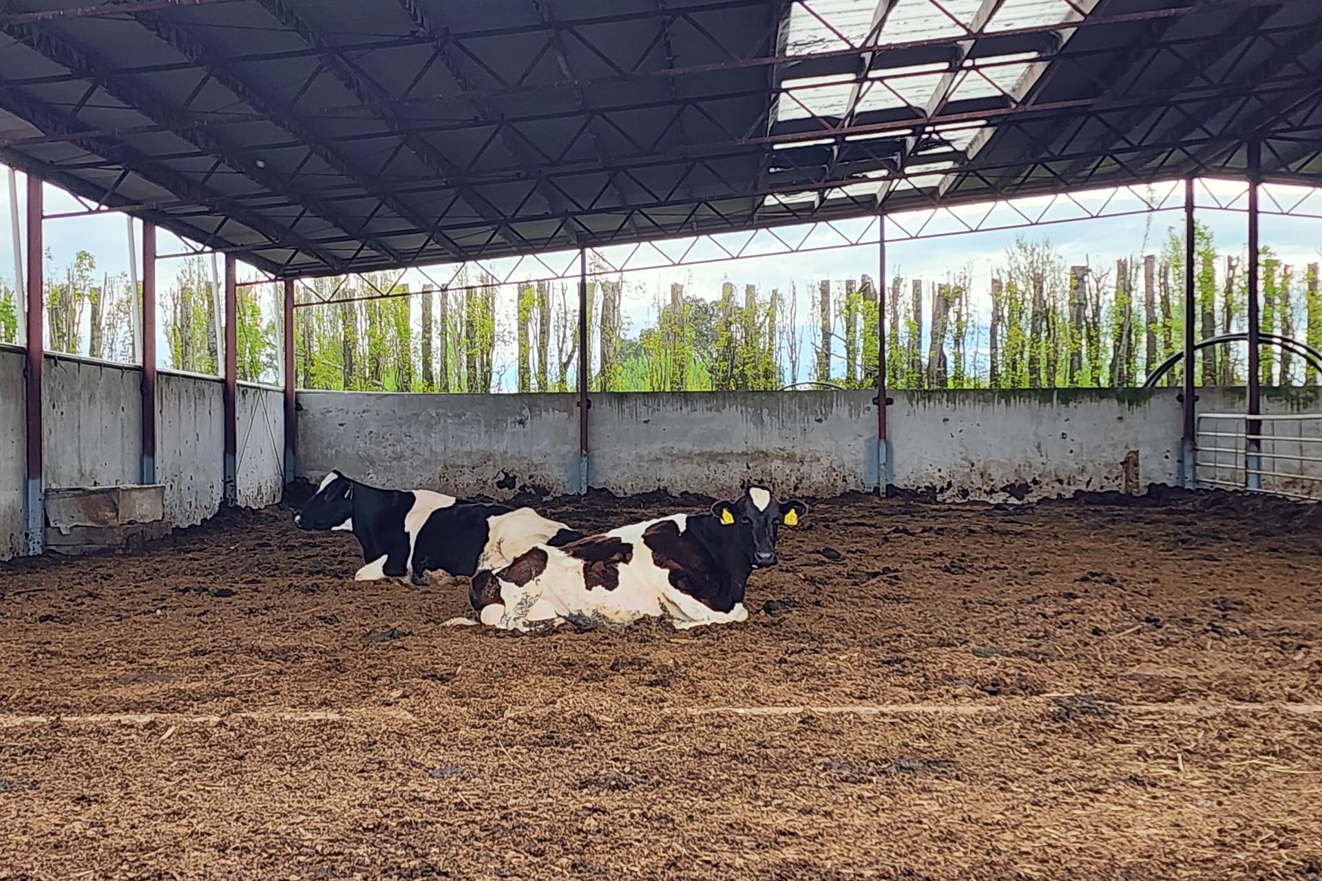 119 The Crescent Road, Kaitangata