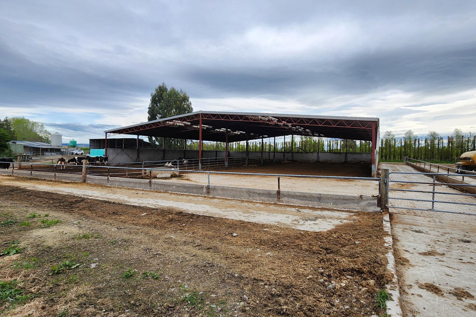 119 The Crescent Road, Kaitangata