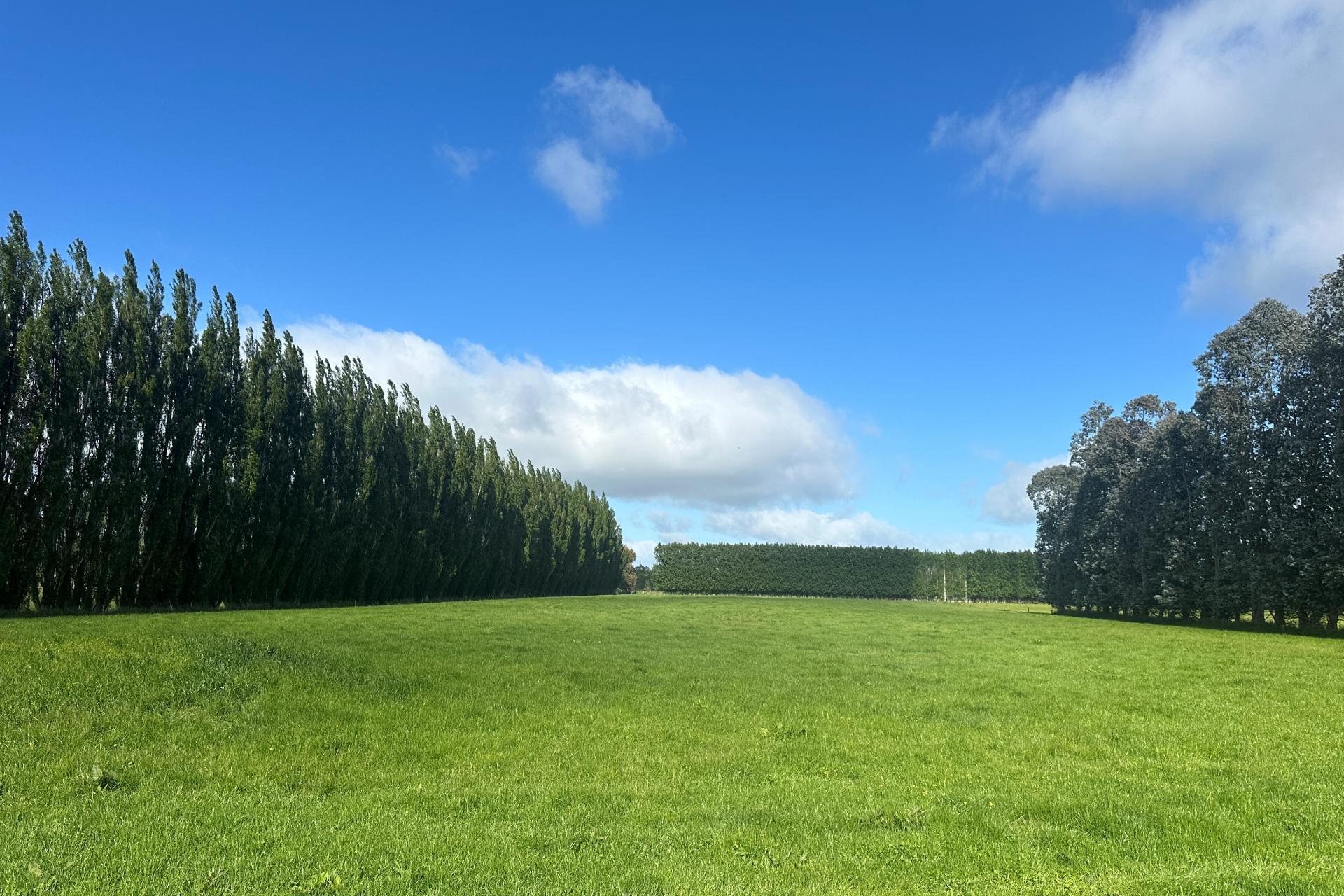 119 The Crescent Road, Kaitangata