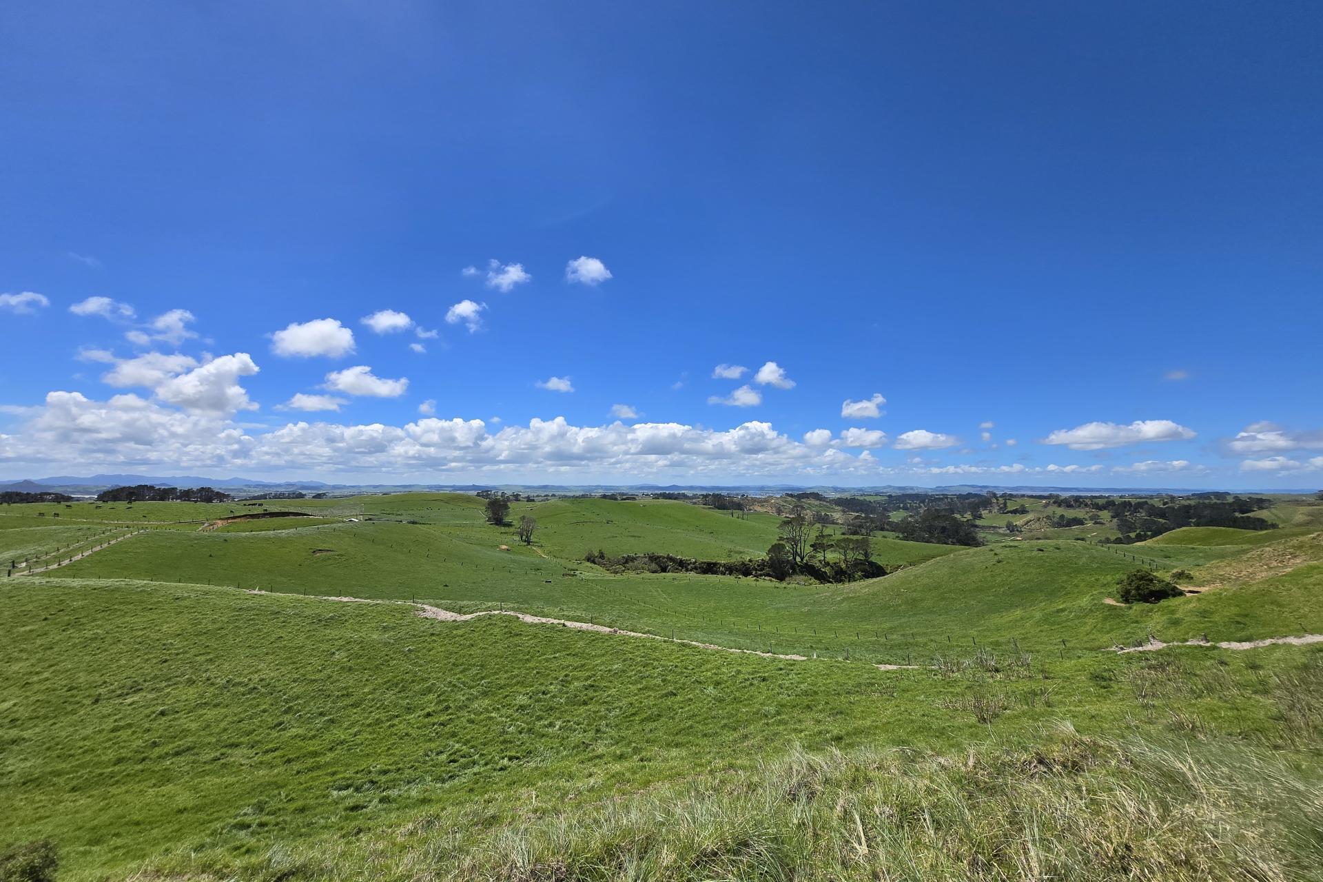 1090 Te Maire Road, Dargaville