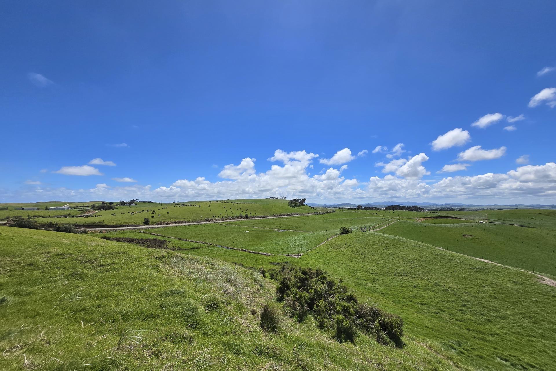 1090 Te Maire Road, Dargaville