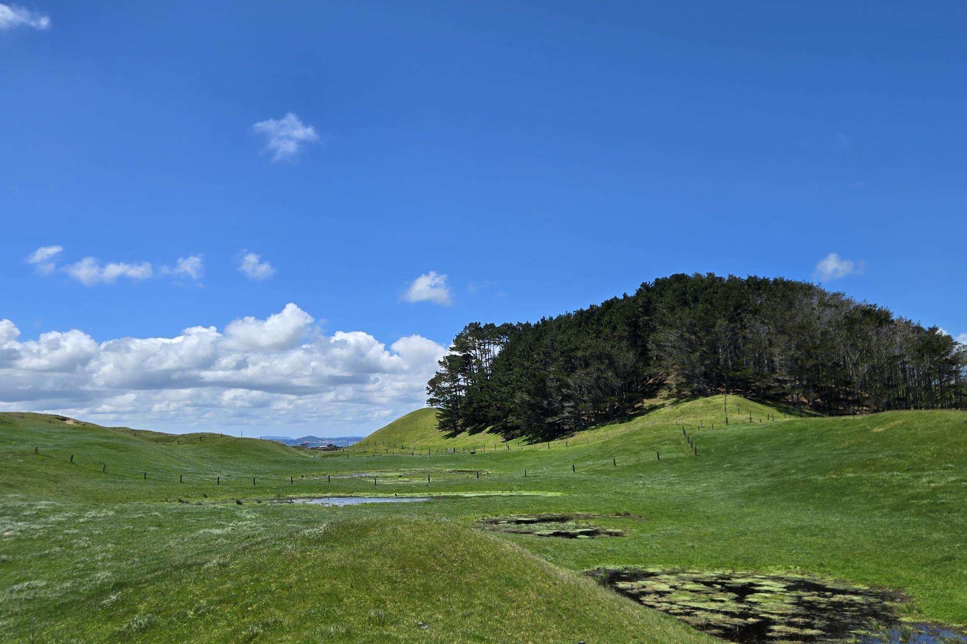 1090 Te Maire Road, Dargaville