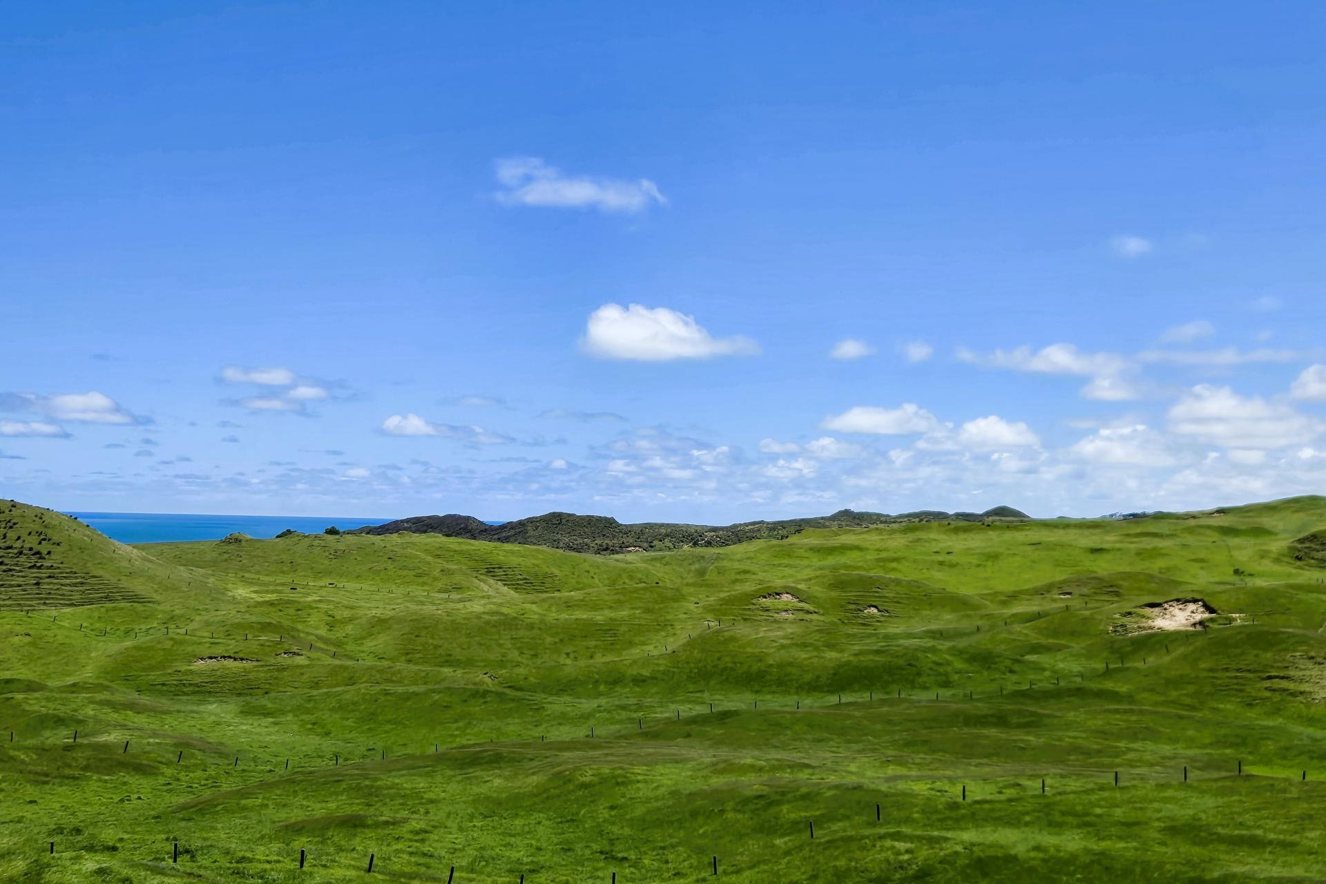 1090 Te Maire Road, Dargaville