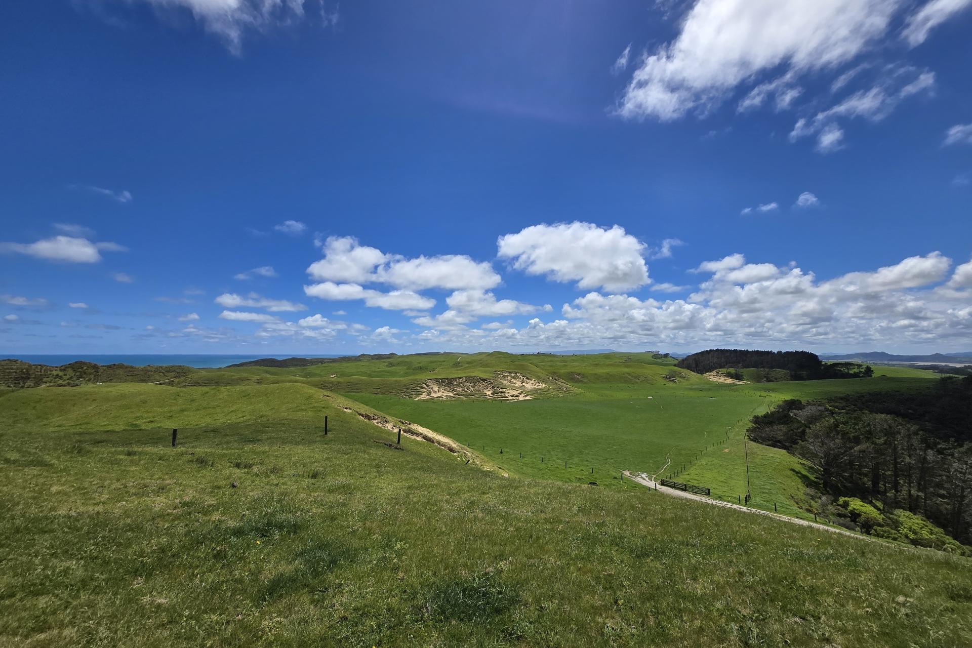 1090 Te Maire Road, Dargaville