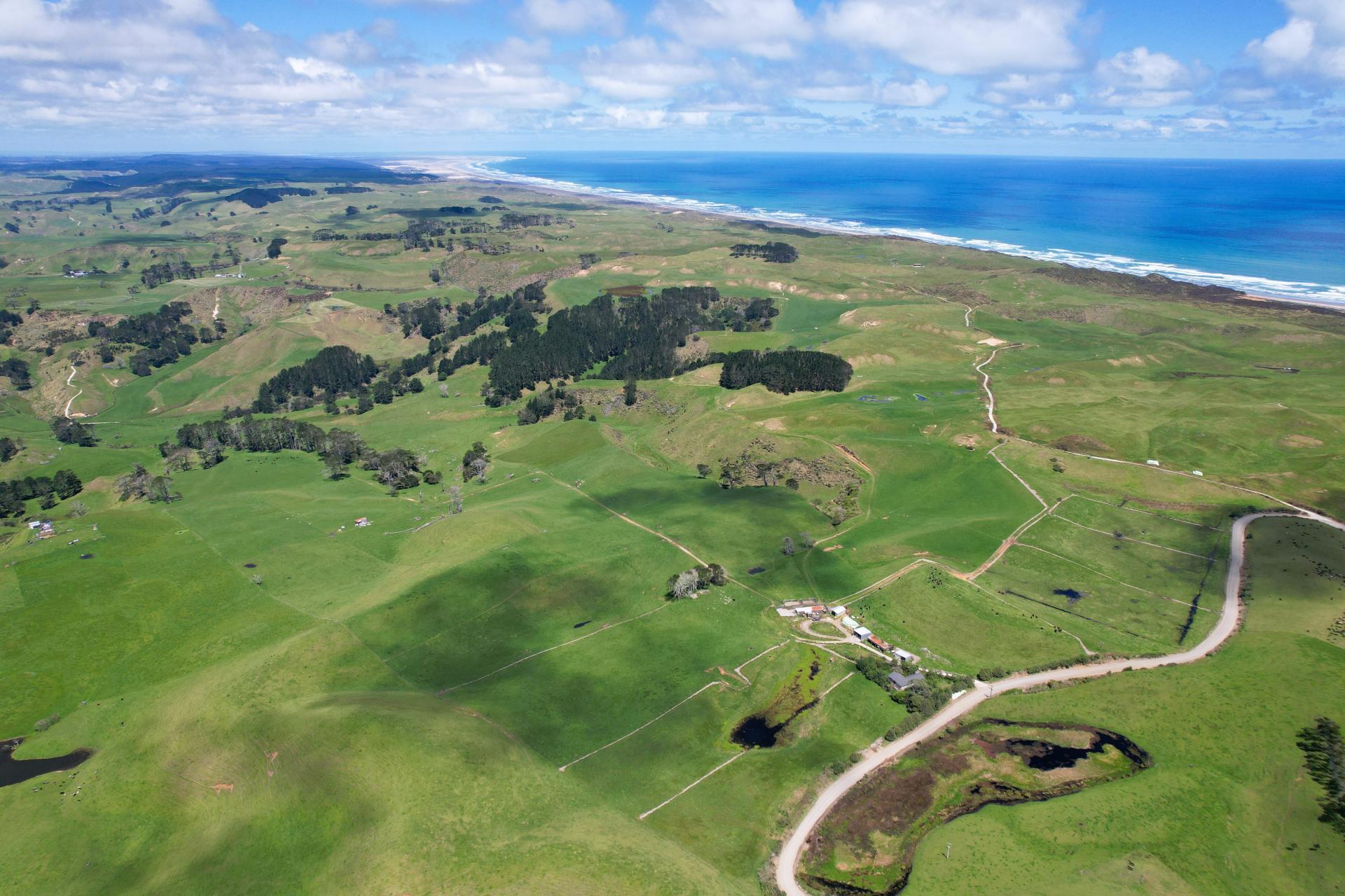 1090 Te Maire Road, Dargaville