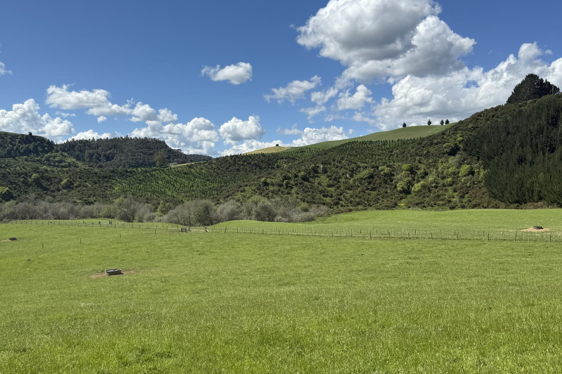 Unit 1, 1745 Arapuni Road, Parawera