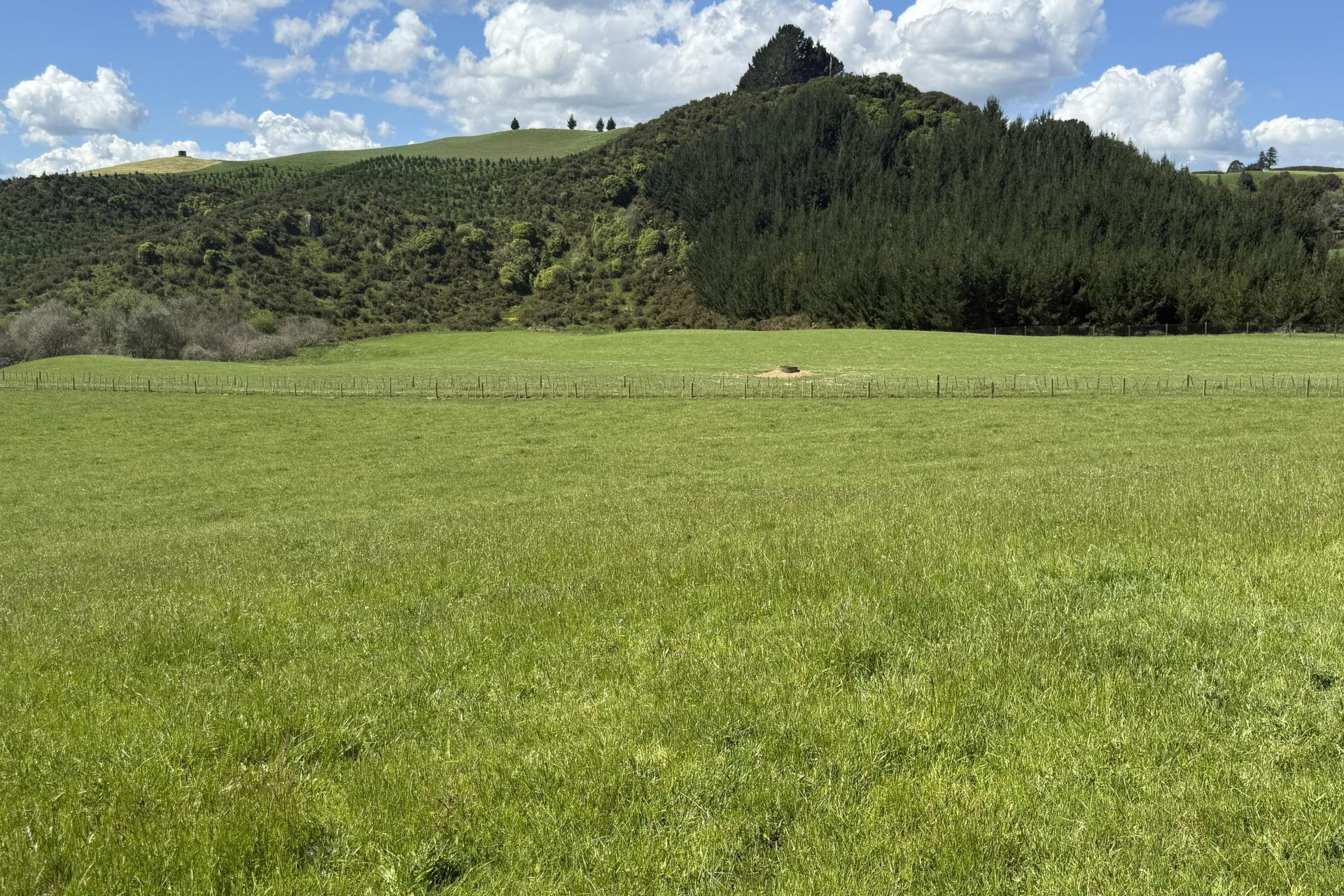 Unit 1, 1745 Arapuni Road, Parawera