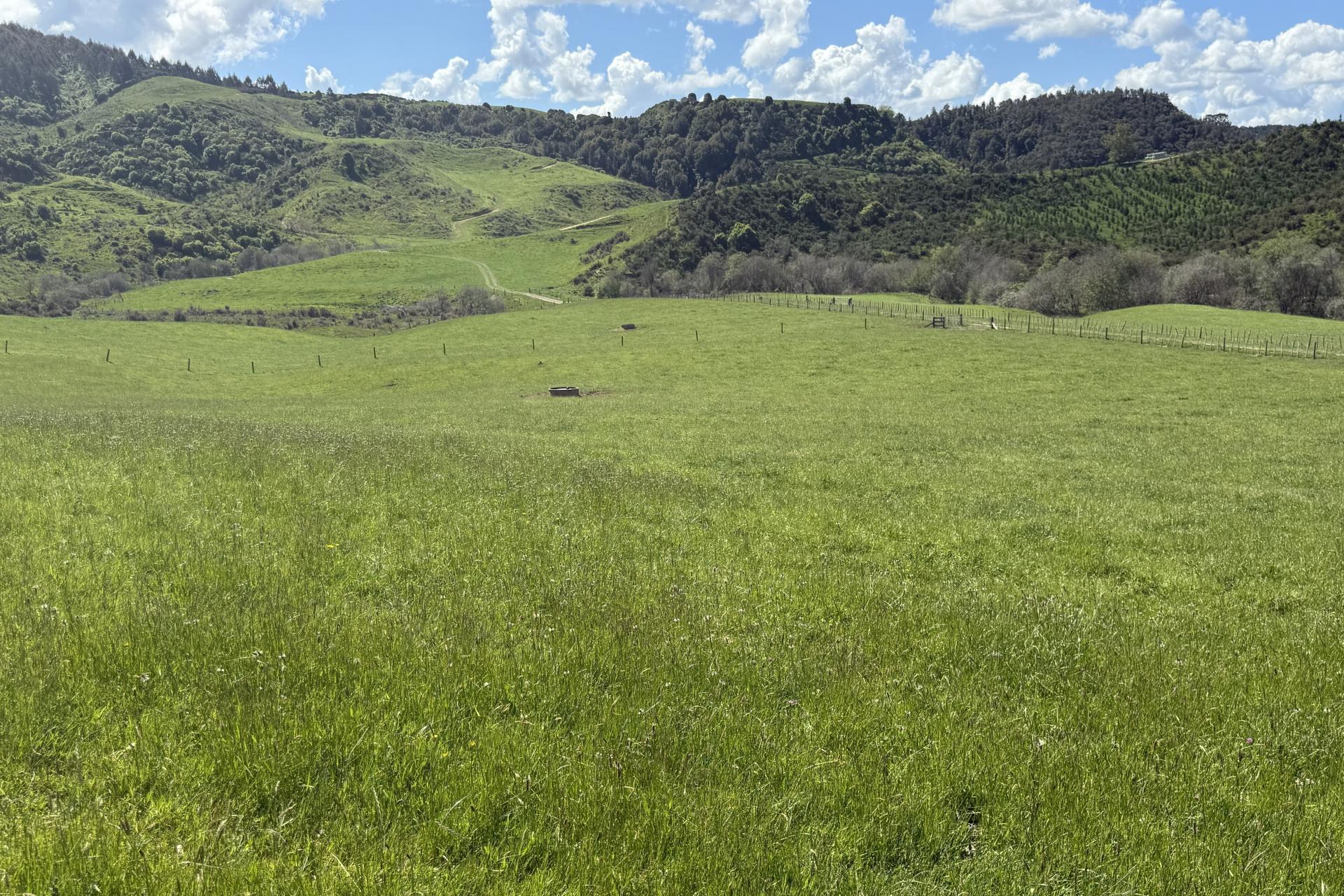 Unit 1, 1745 Arapuni Road, Parawera