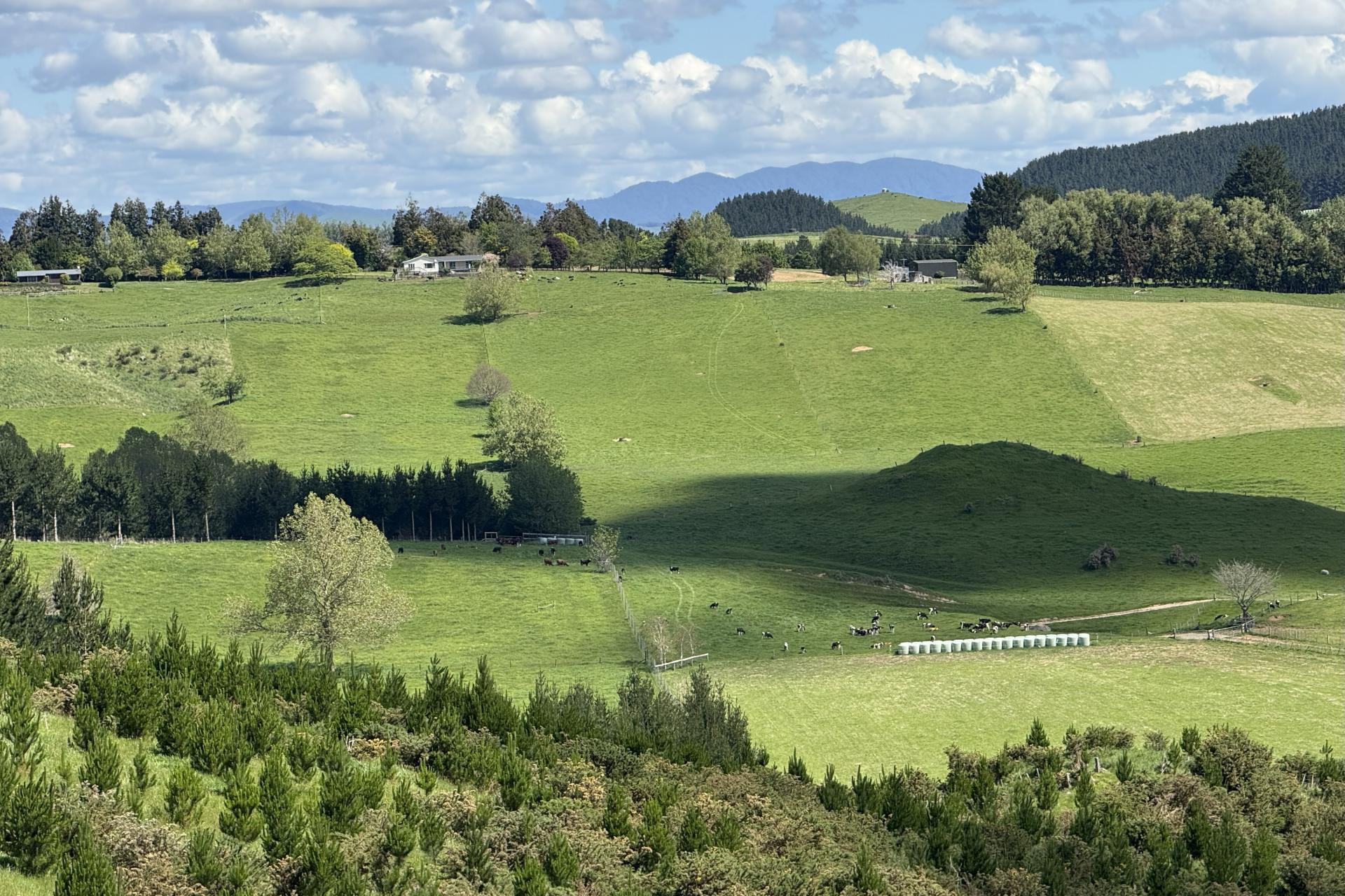 Unit 1, 1745 Arapuni Road, Parawera