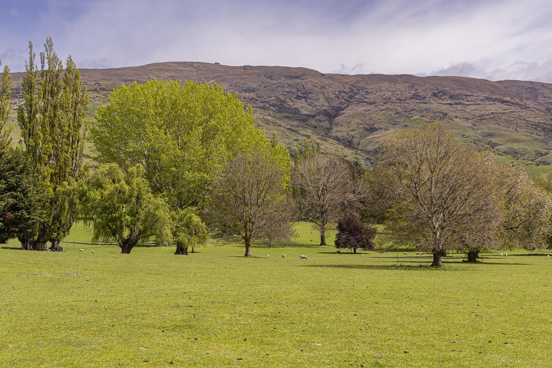 303 Burn Cottage Road, Lowburn Valley, Cromwell