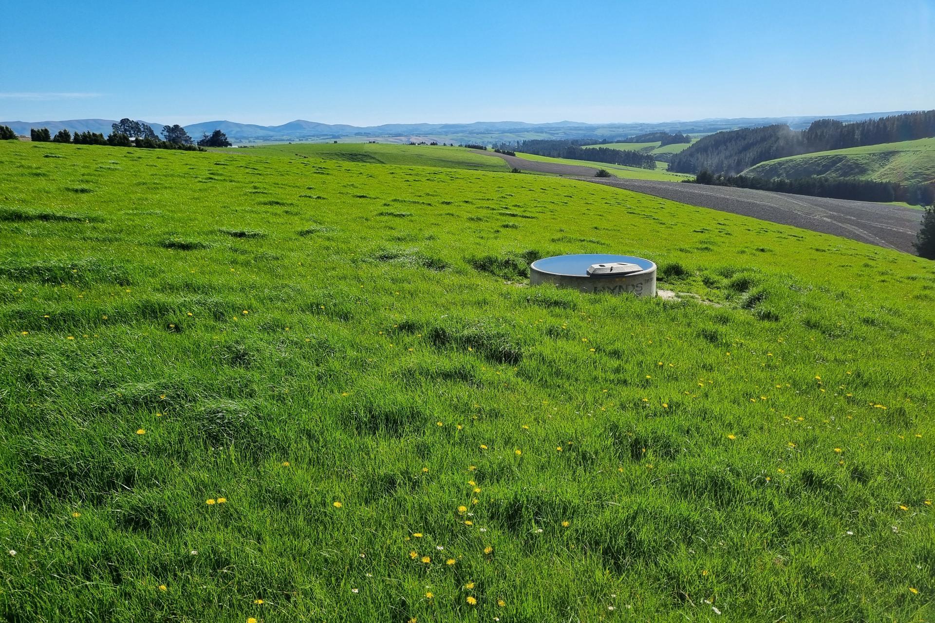 Beggs Track, Hillend
