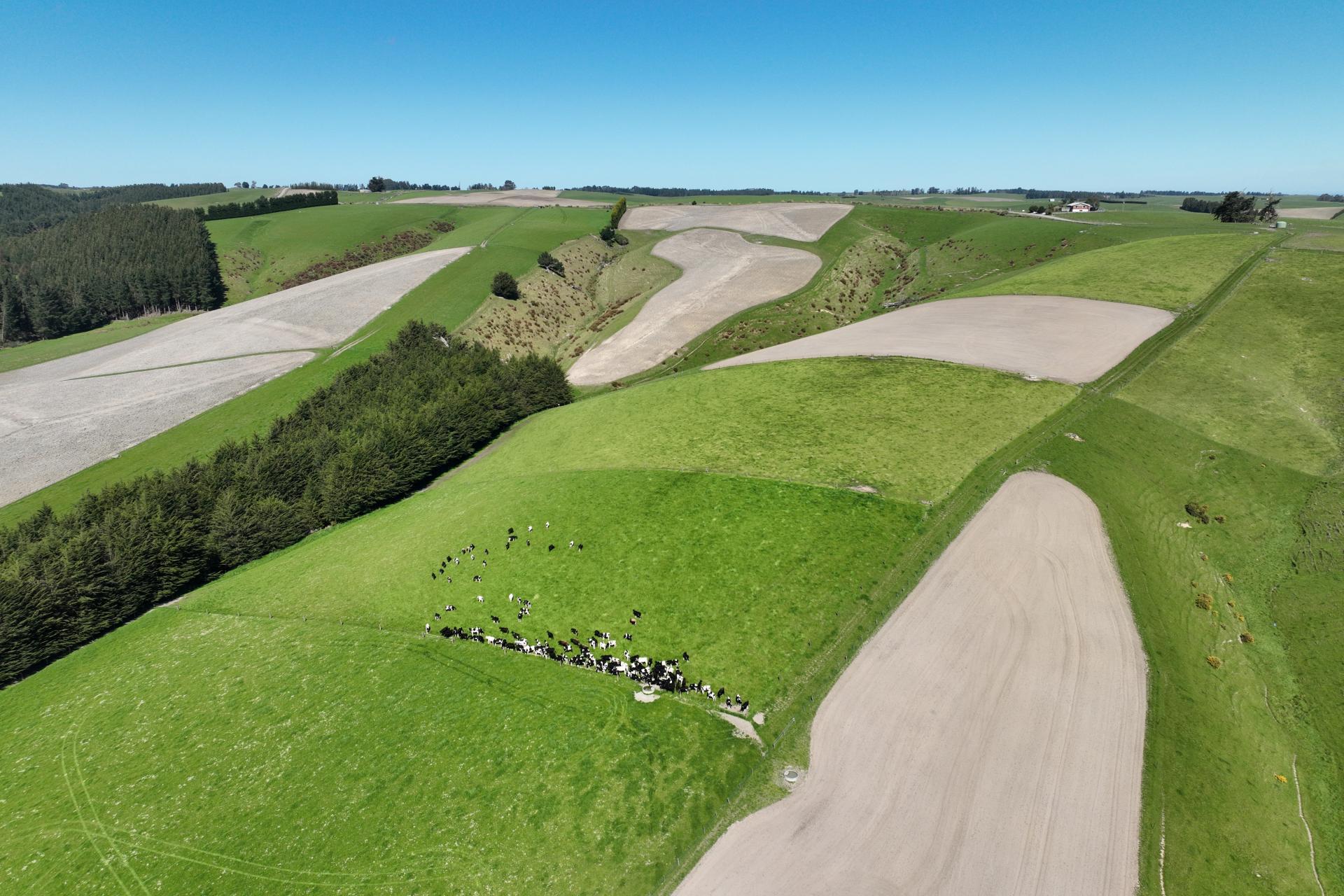 Beggs Track, Hillend