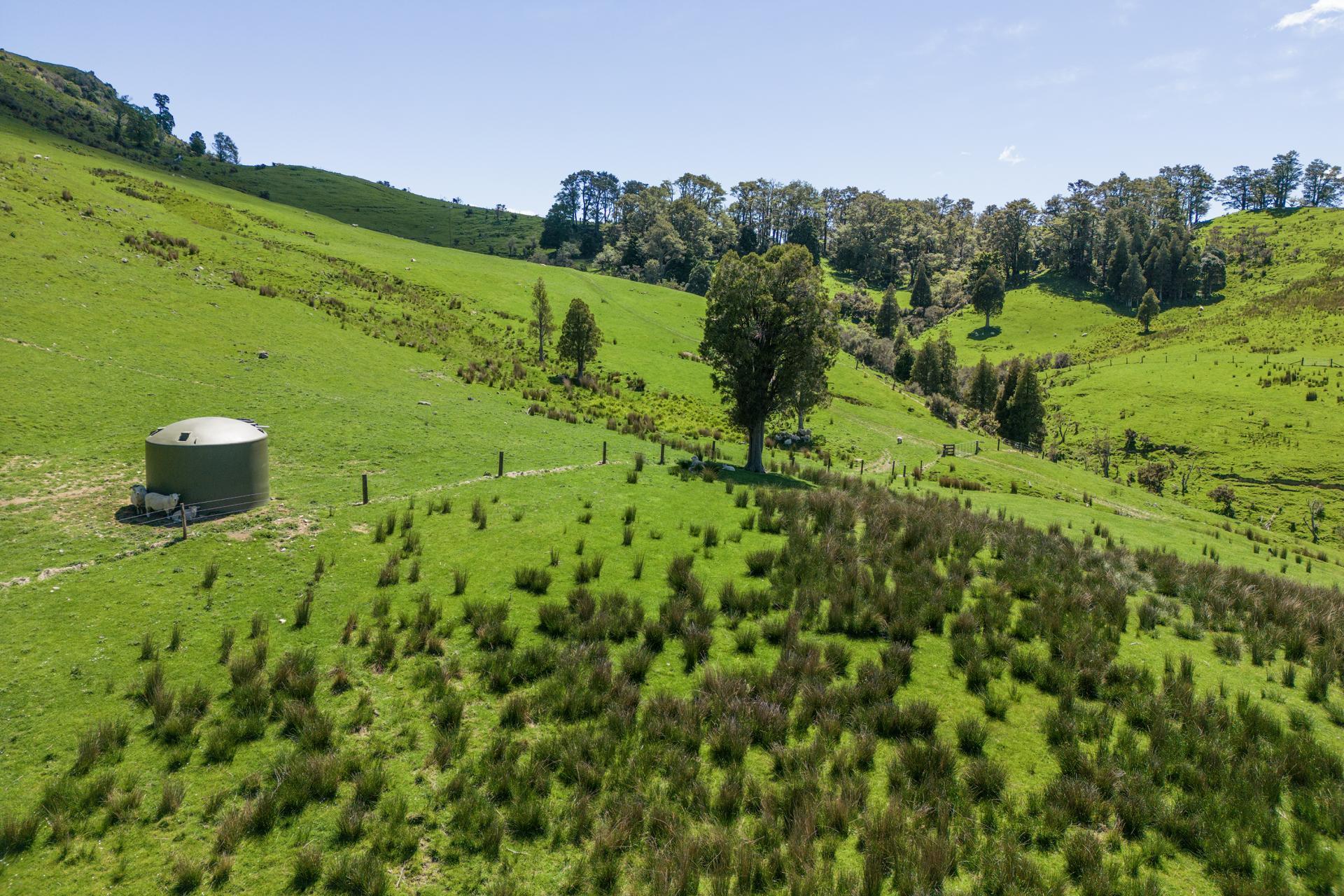 21 Carson Road, Ongaonga