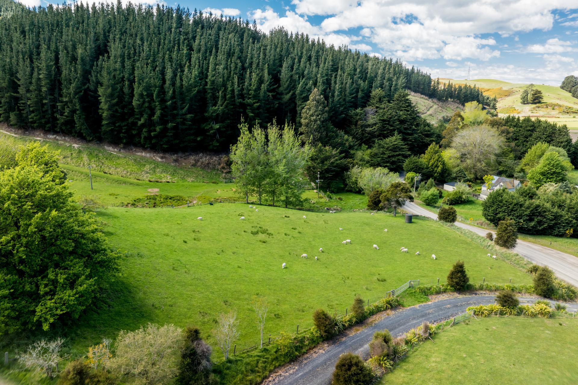 292 Waipori Falls Road, Berwick