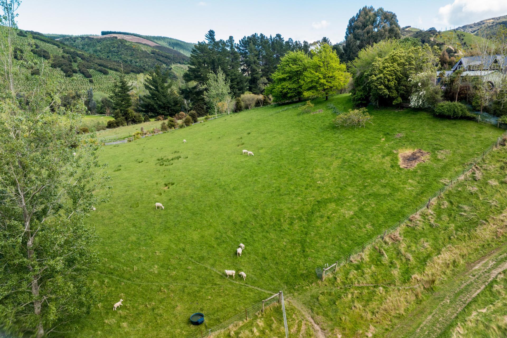 292 Waipori Falls Road, Berwick