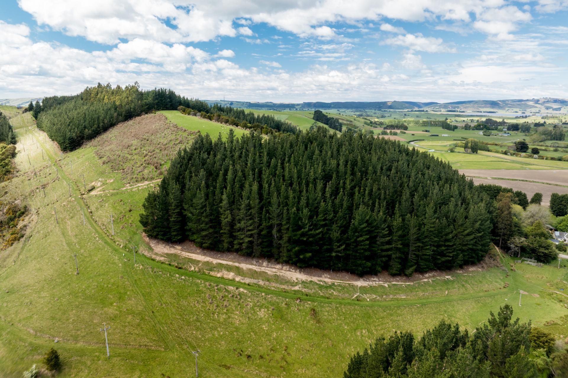 292 Waipori Falls Road, Berwick