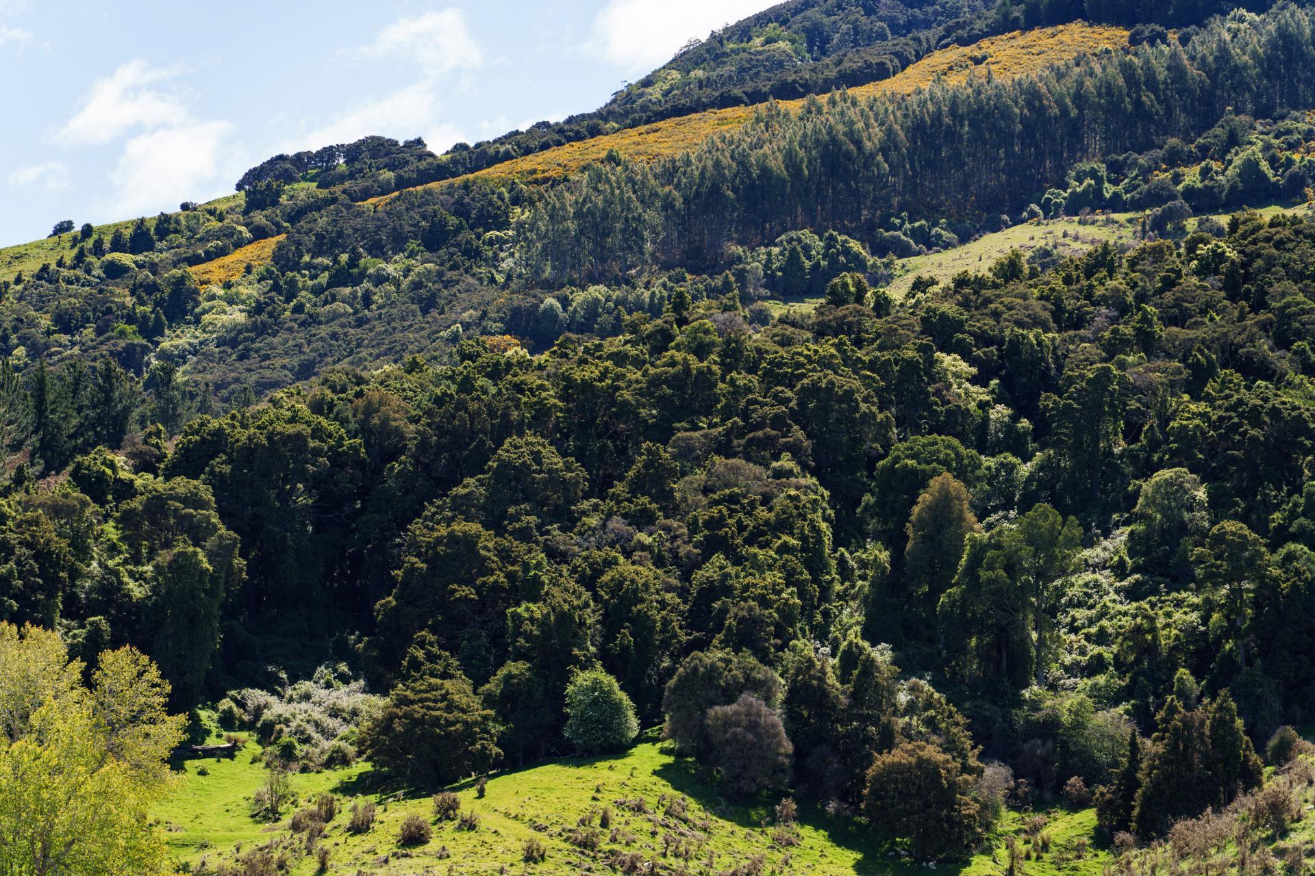 292 Waipori Falls Road, Berwick