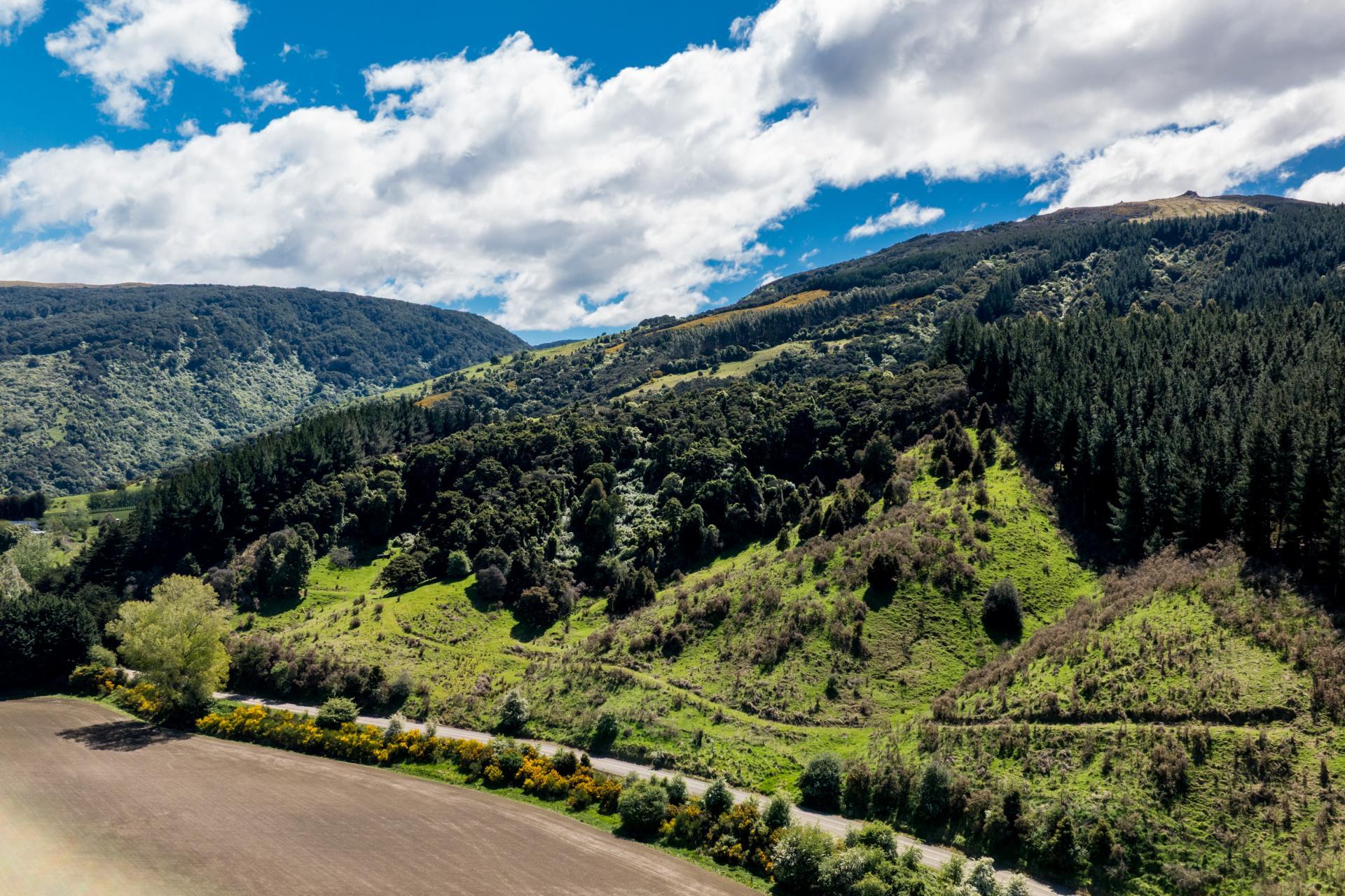 292 Waipori Falls Road, Berwick