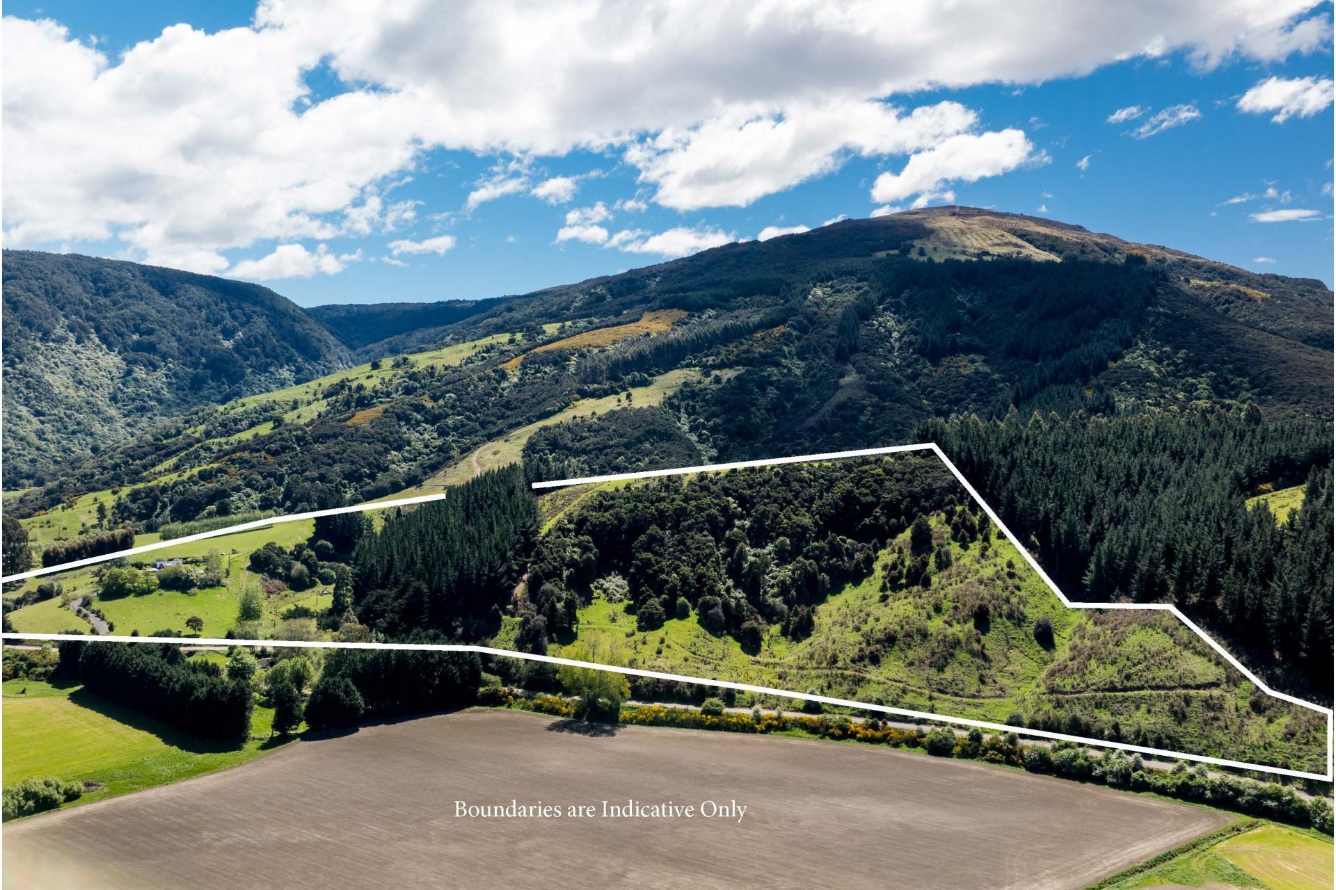 292 Waipori Falls Road, Berwick