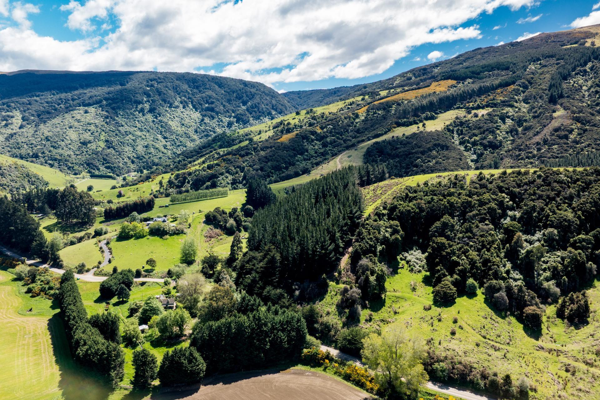 292 Waipori Falls Road, Berwick