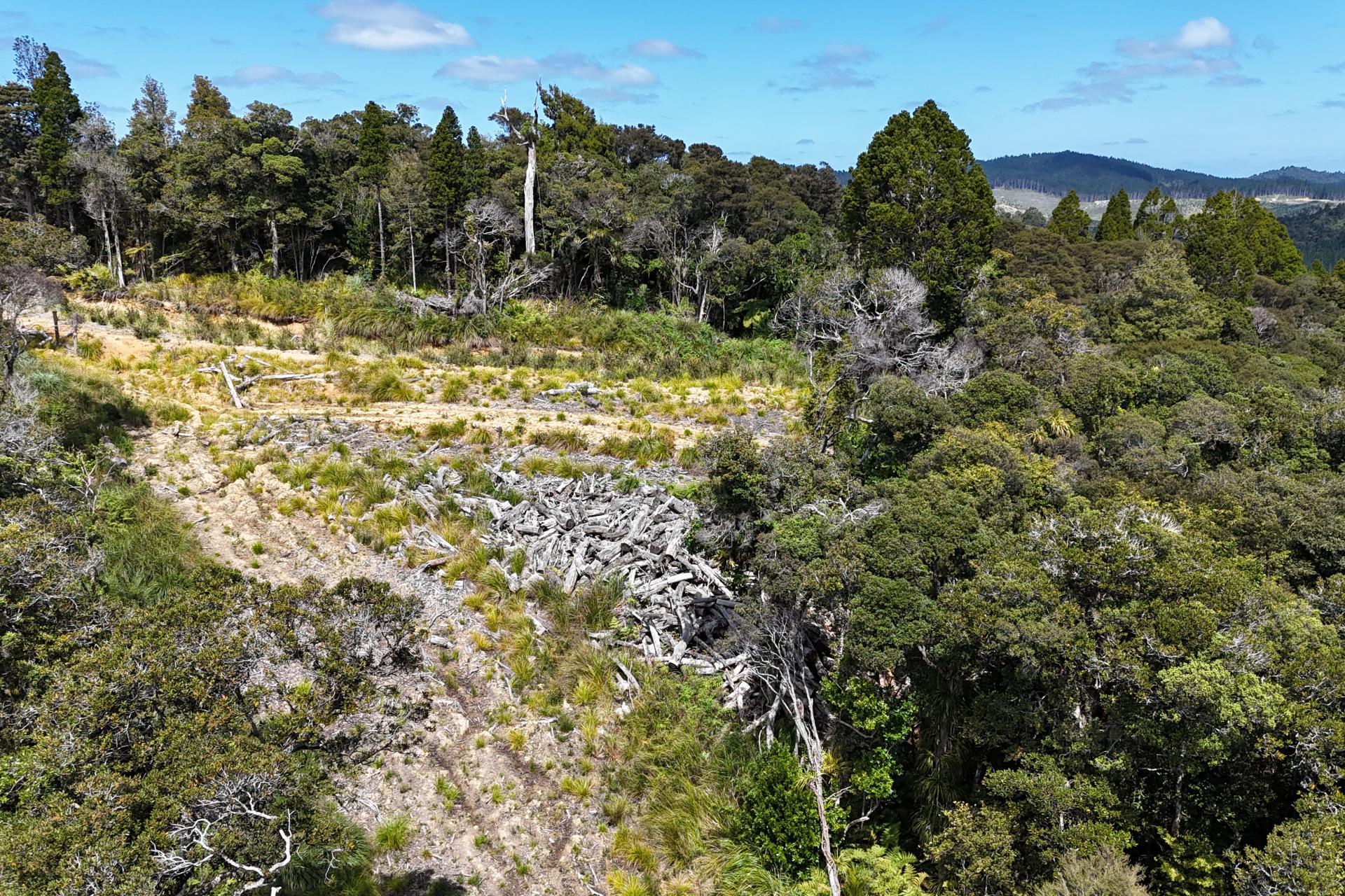 Otangaroa Side Road, Kaeo