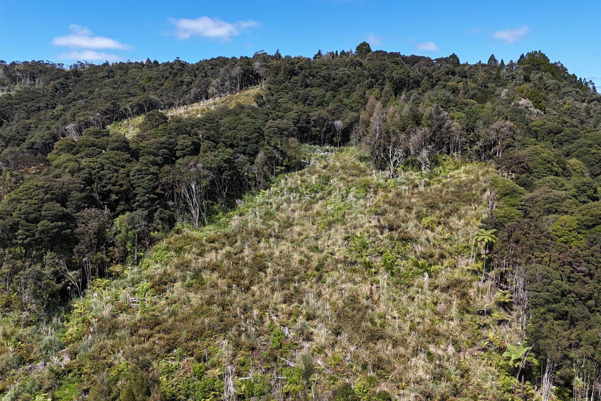 Otangaroa Side Road, Kaeo