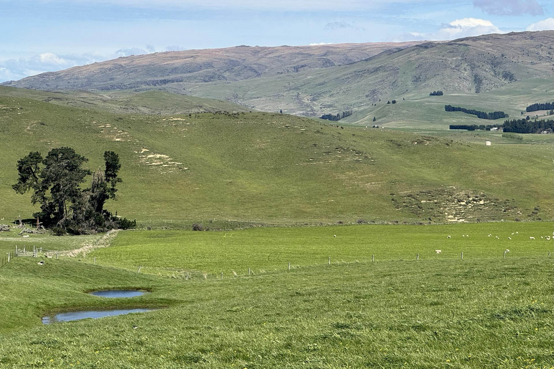 387 Kyeburn-Hyde Road, Kyeburn