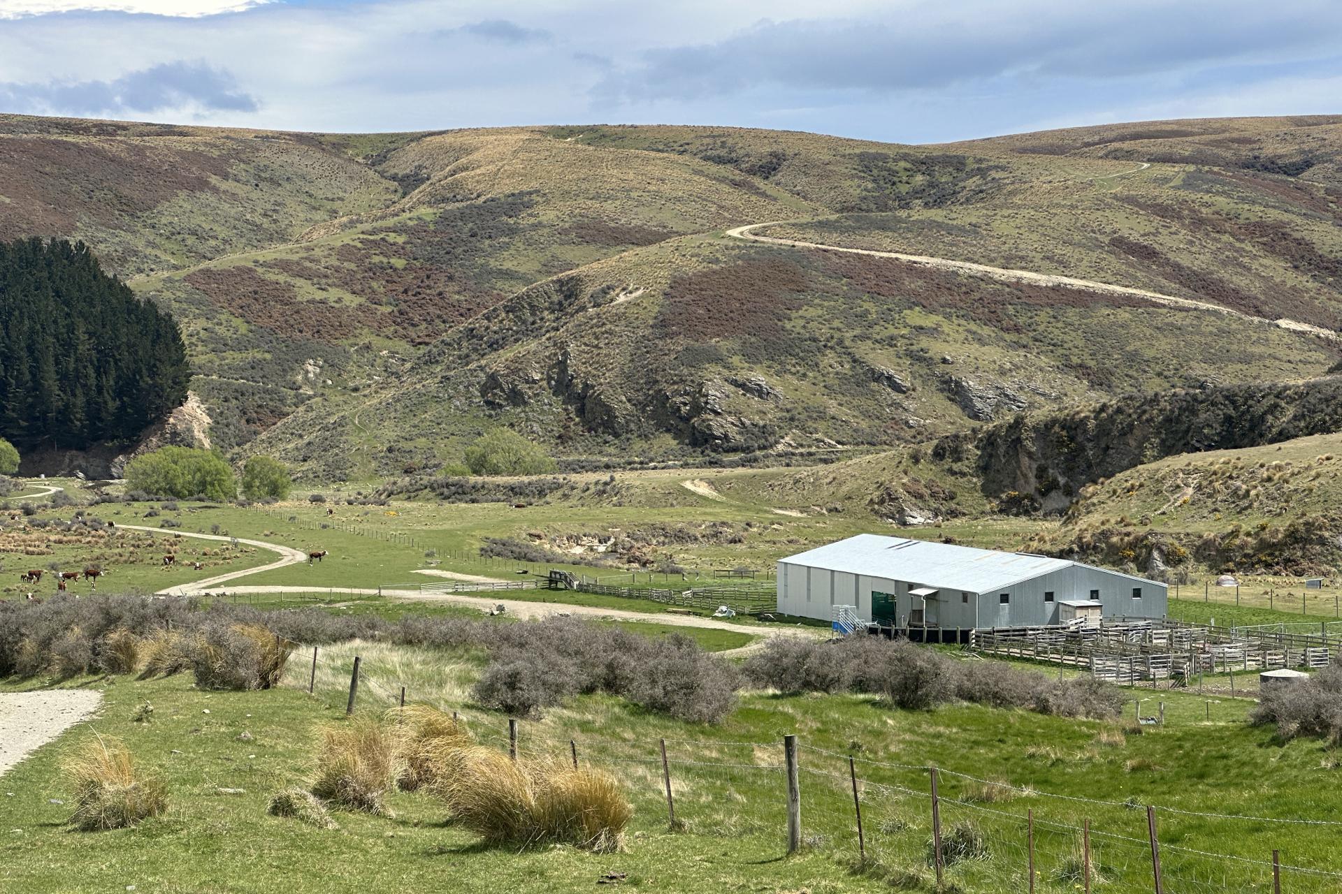 387 Kyeburn-Hyde Road, Kyeburn