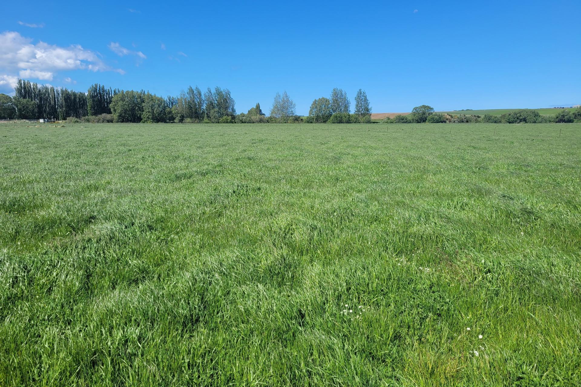 381 Island Stream Road, Maheno