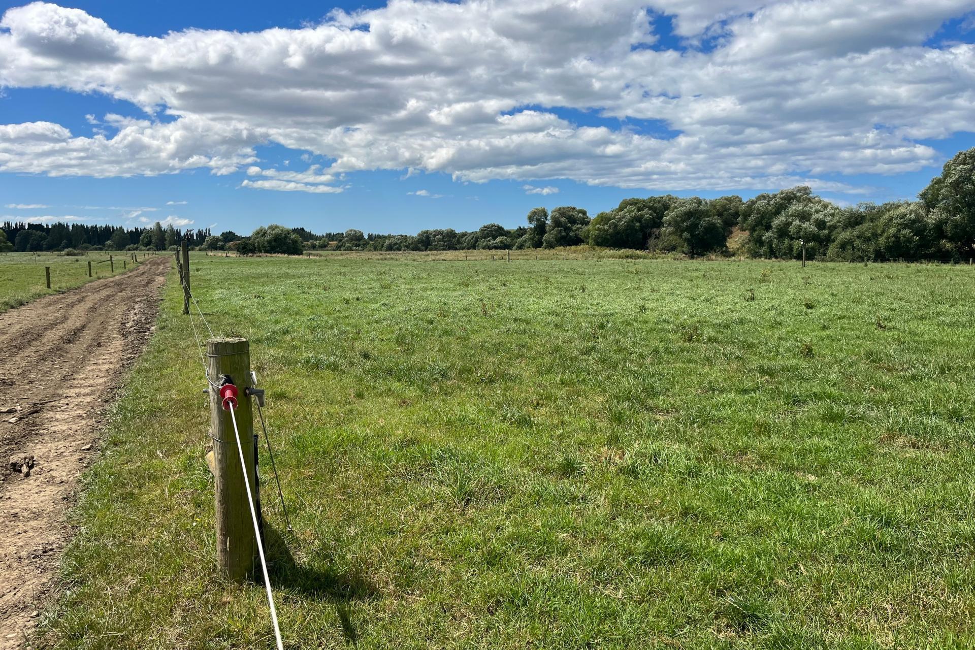 381 Island Stream Road, Maheno
