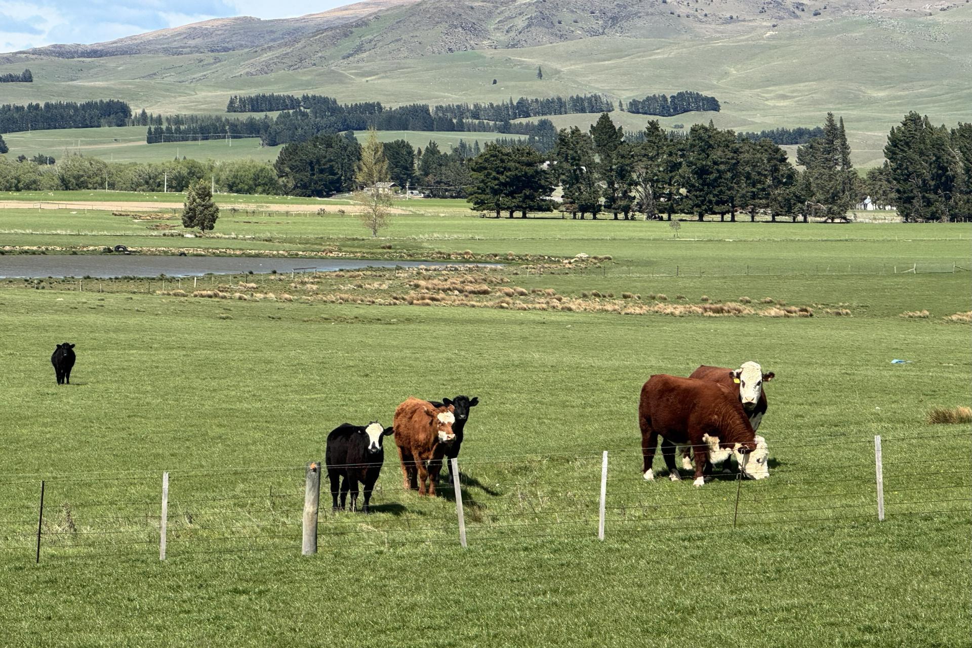 387 Kyeburn-Hyde Road and Preston Road, Kyeburn