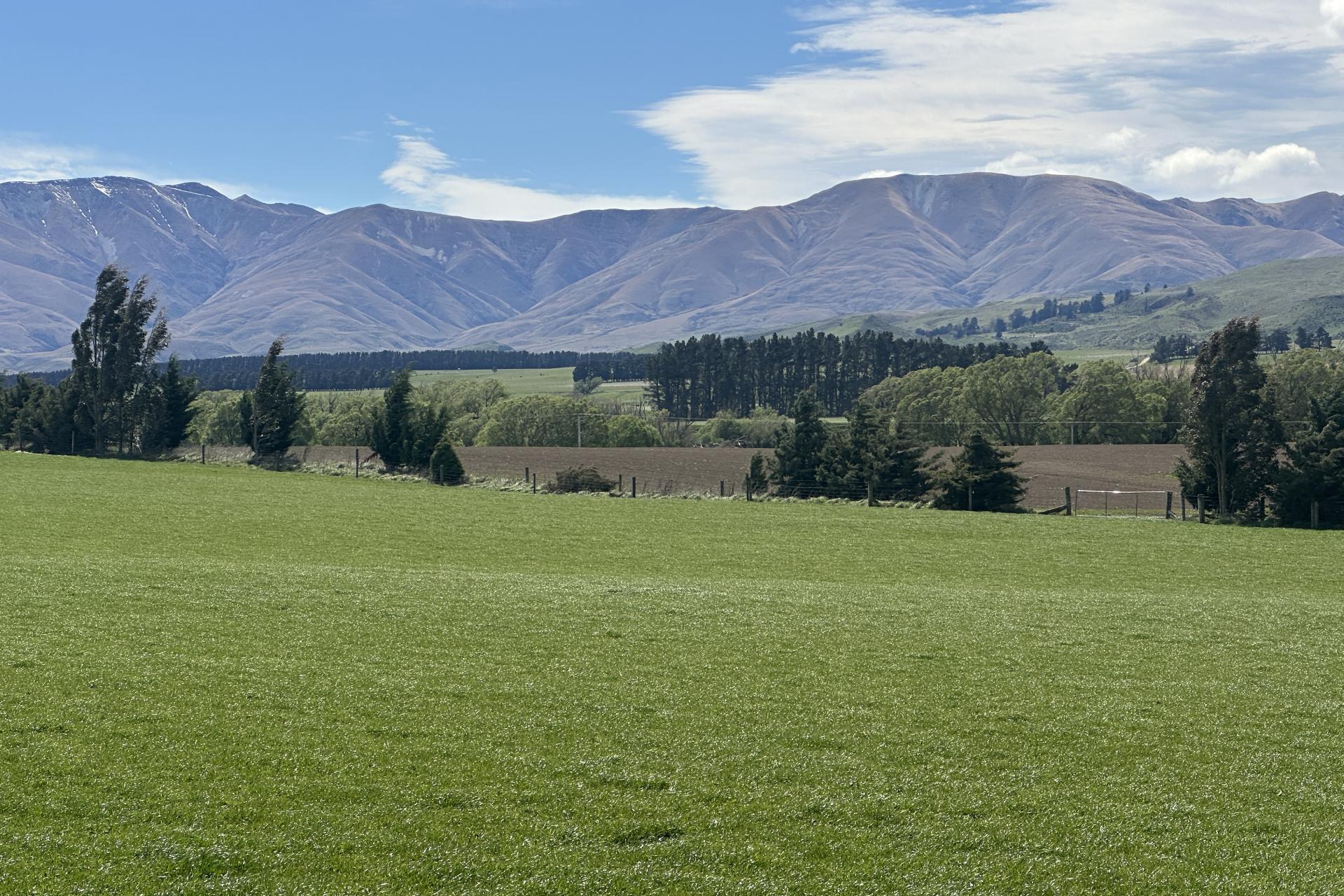 387 Kyeburn-Hyde Road and Preston Road, Kyeburn