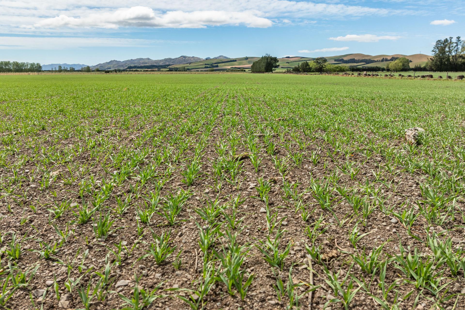 69 High Street, Hawarden