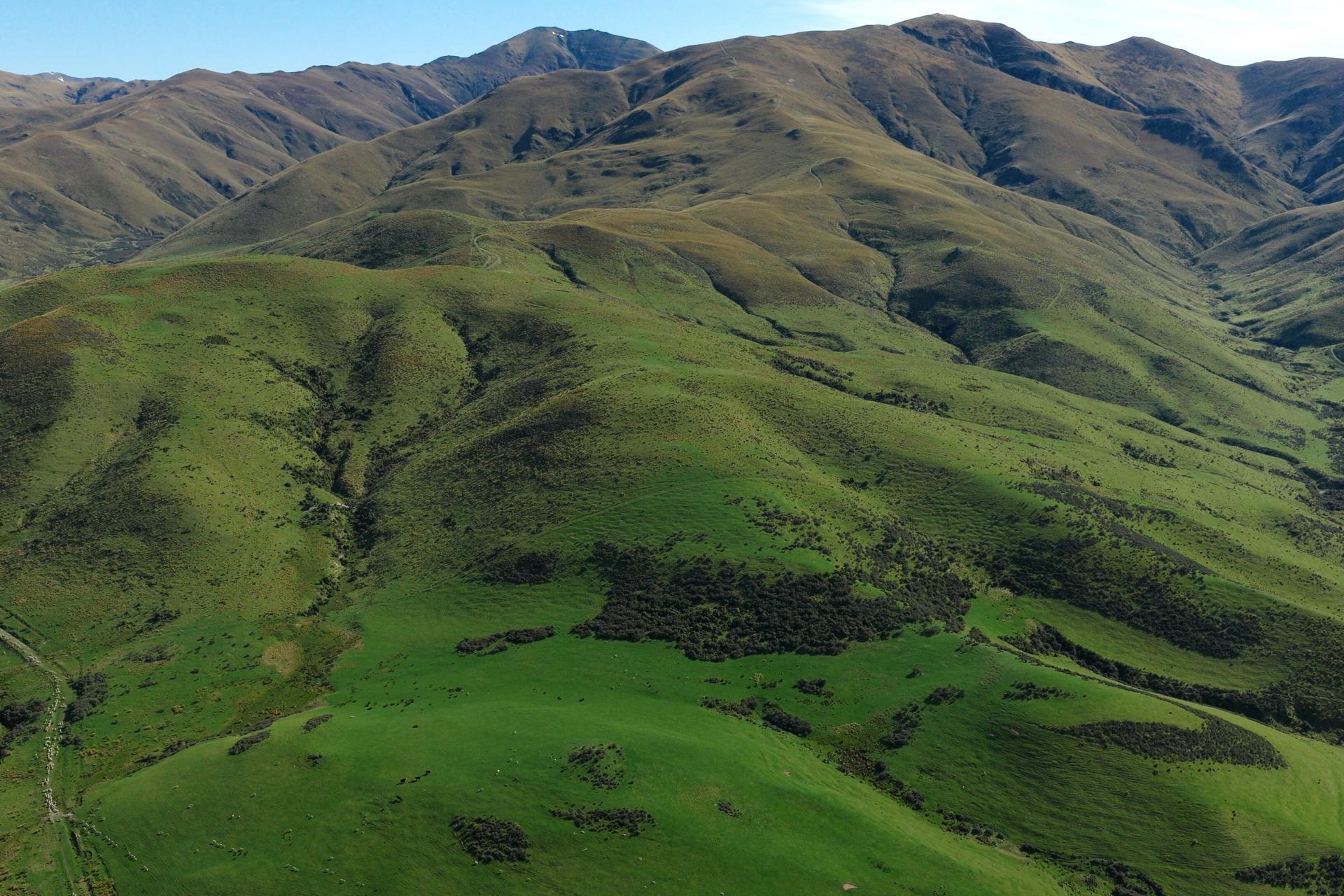 Morrisons-Kyeburn Road, Kyeburn