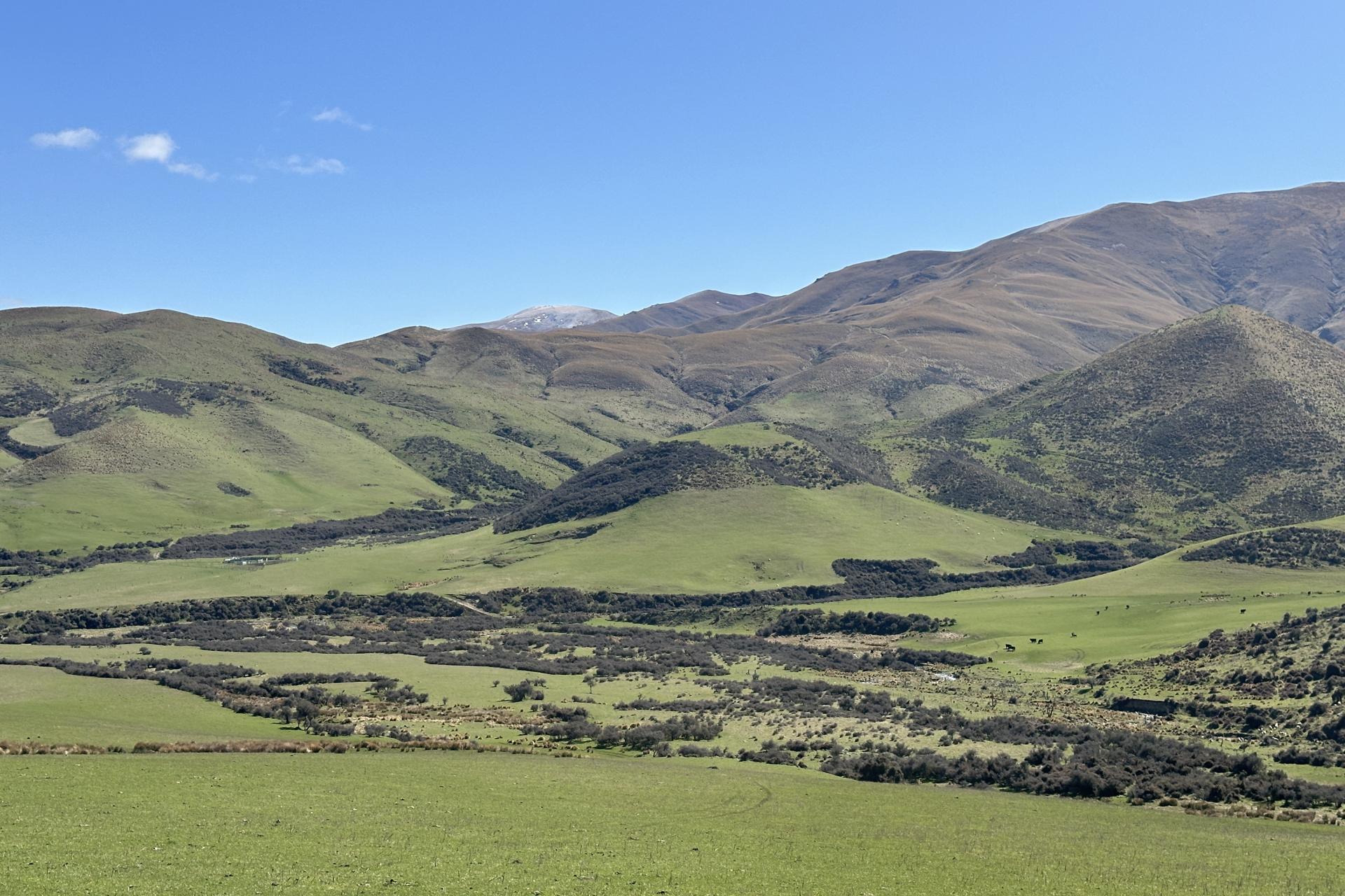 Morrisons-Kyeburn Road, Kyeburn
