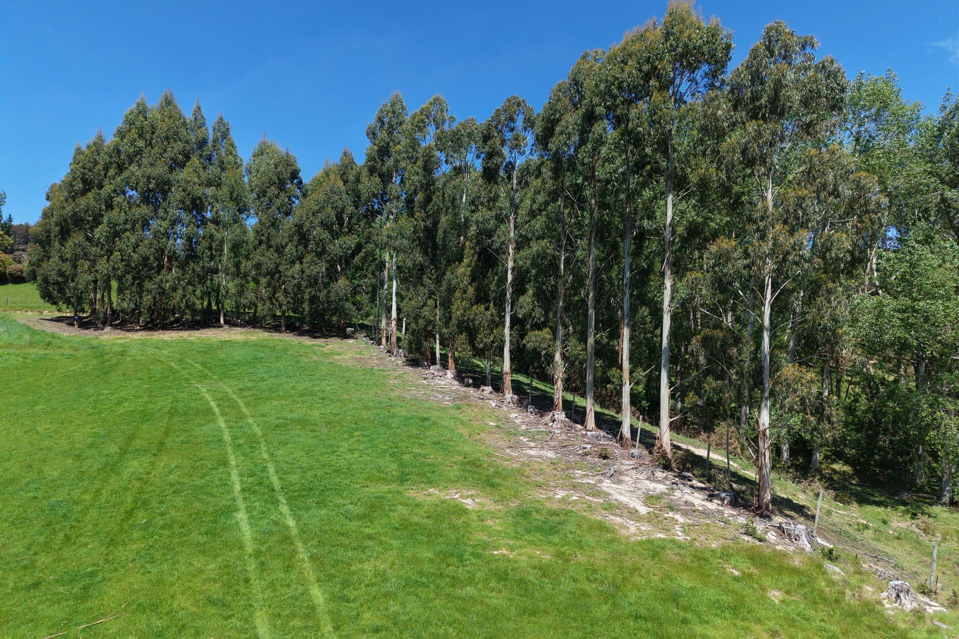 6 Braeside, East Taieri