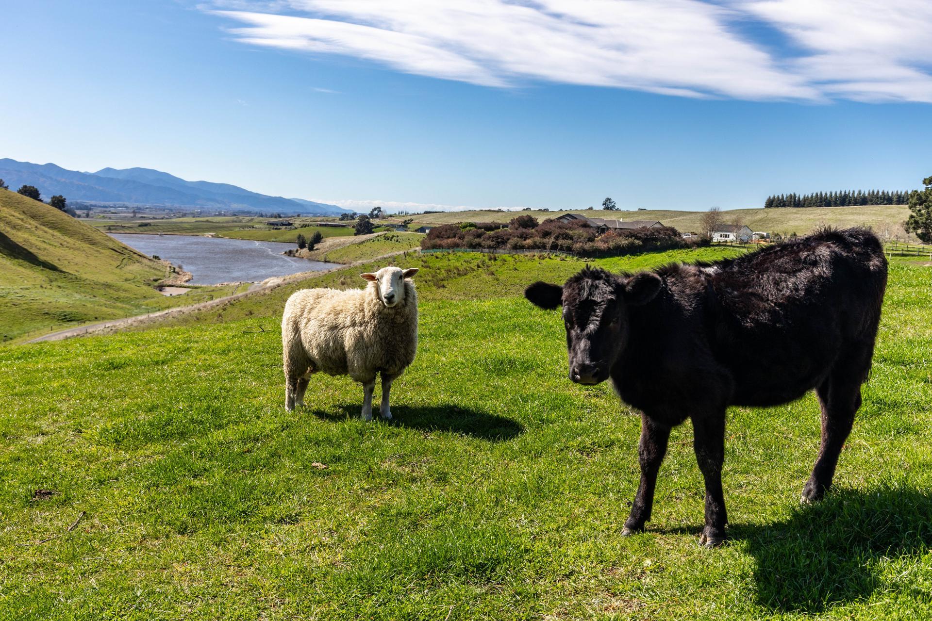 466 Delta Lake Heights, Renwick