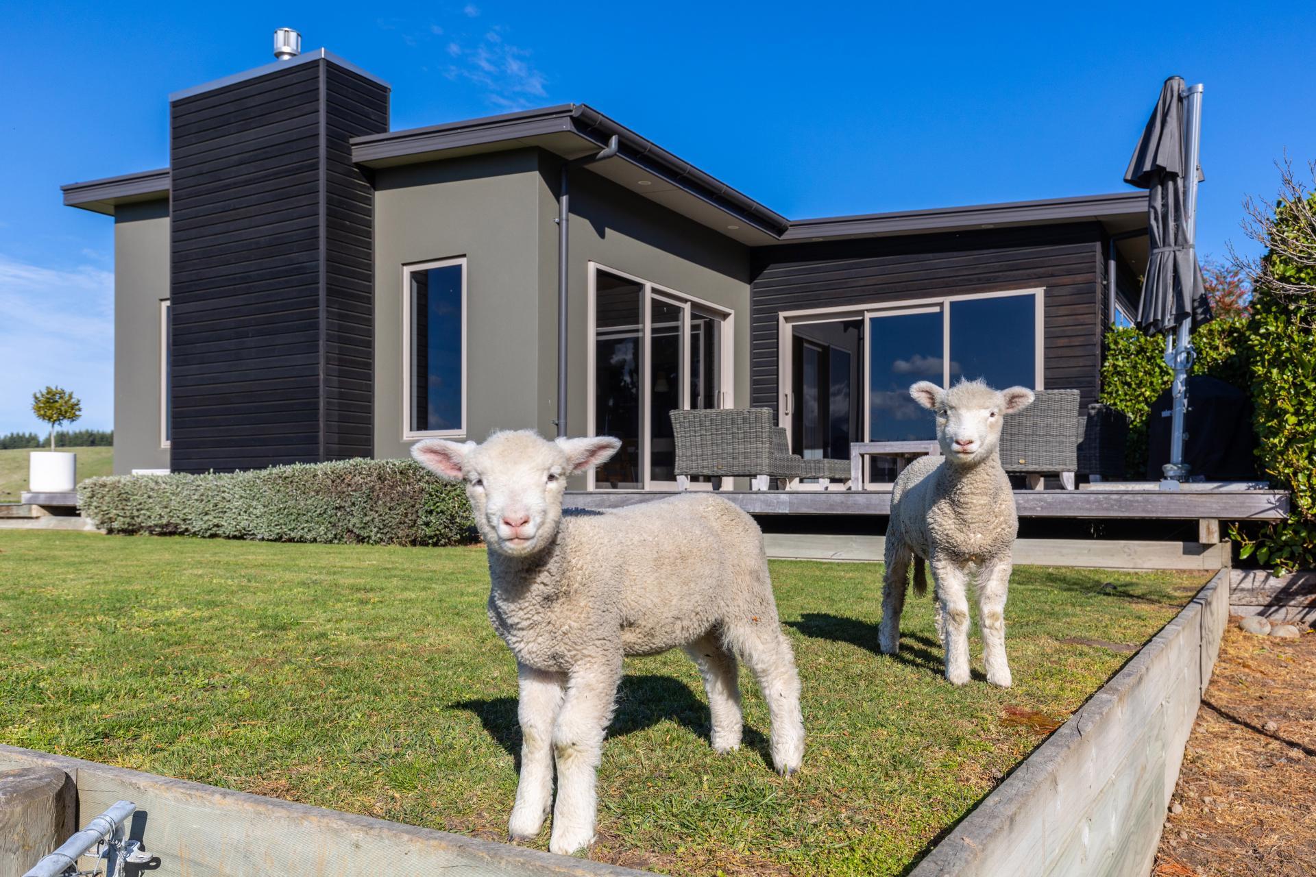 466 Delta Lake Heights, Renwick