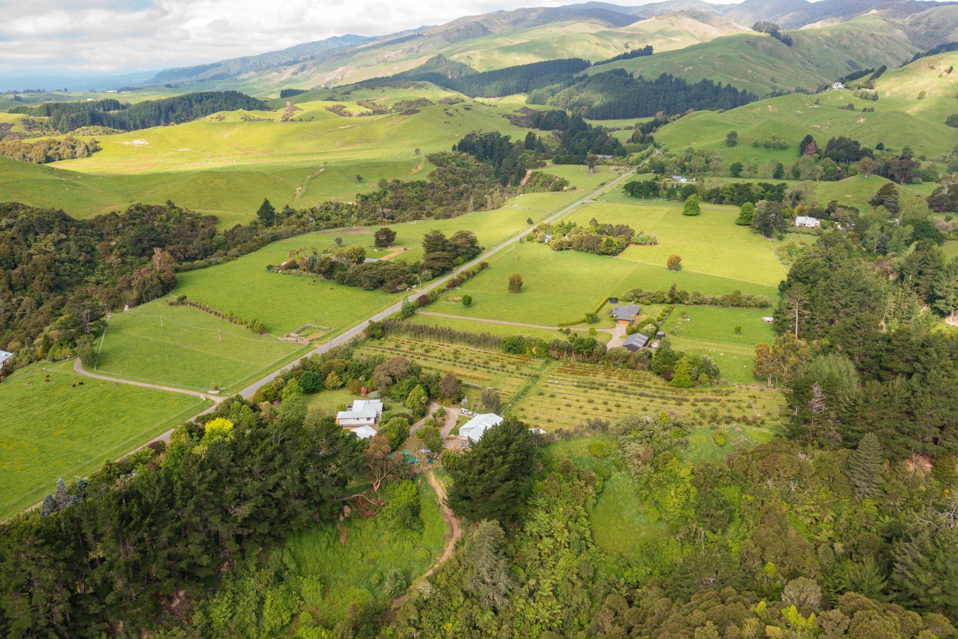 52 No 4 Line, Ashhurst