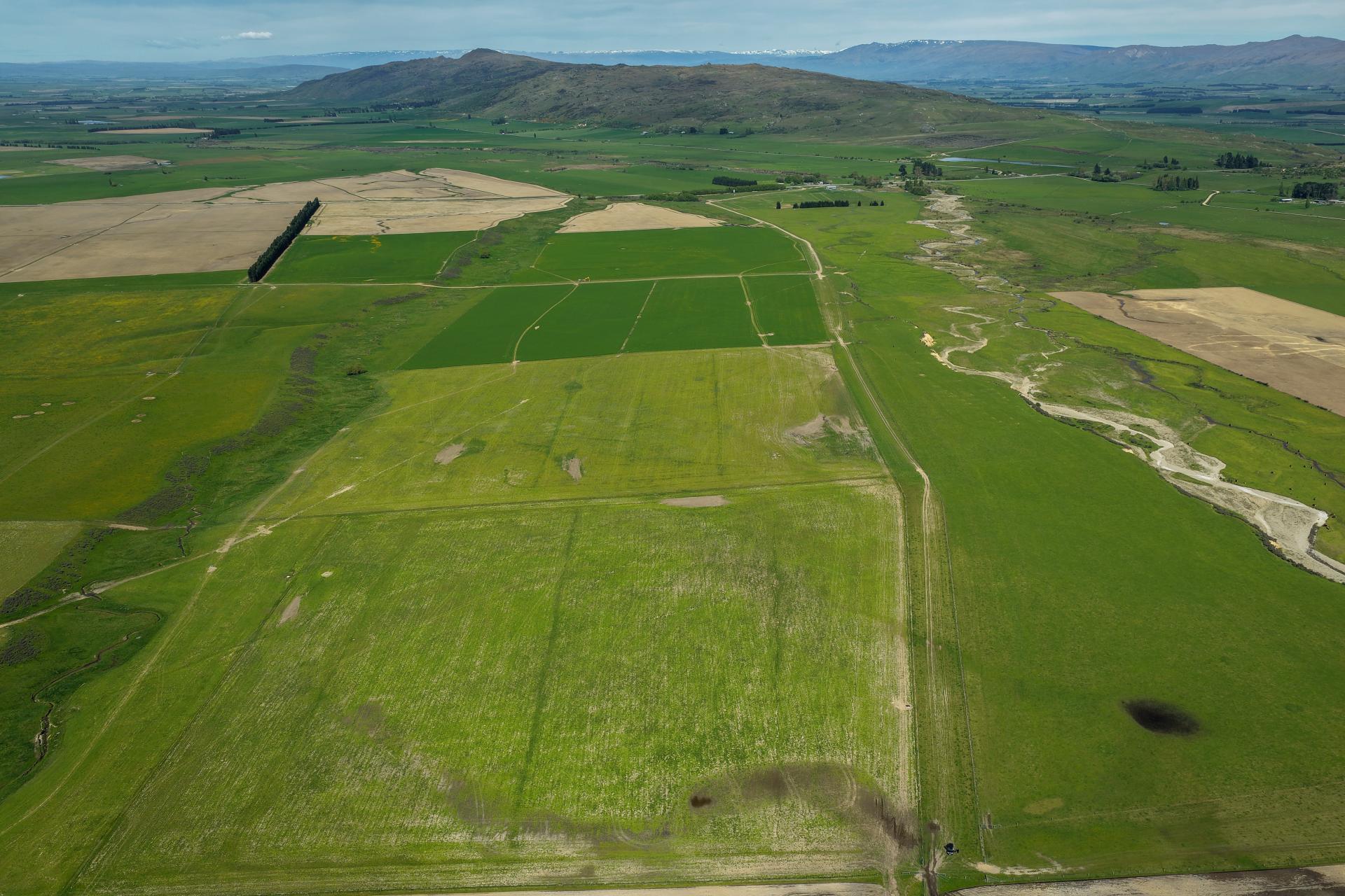 5582 Wedderburn-Becks Road and 755-971 Linnburn Runs Road, Hills Creek